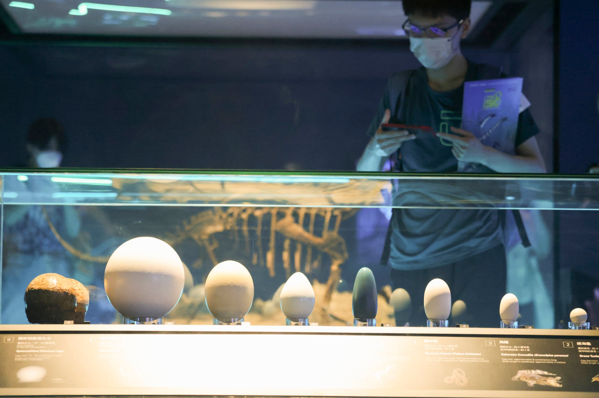Hong Kong Science Museum’s dinosaur exhibition what you need to know