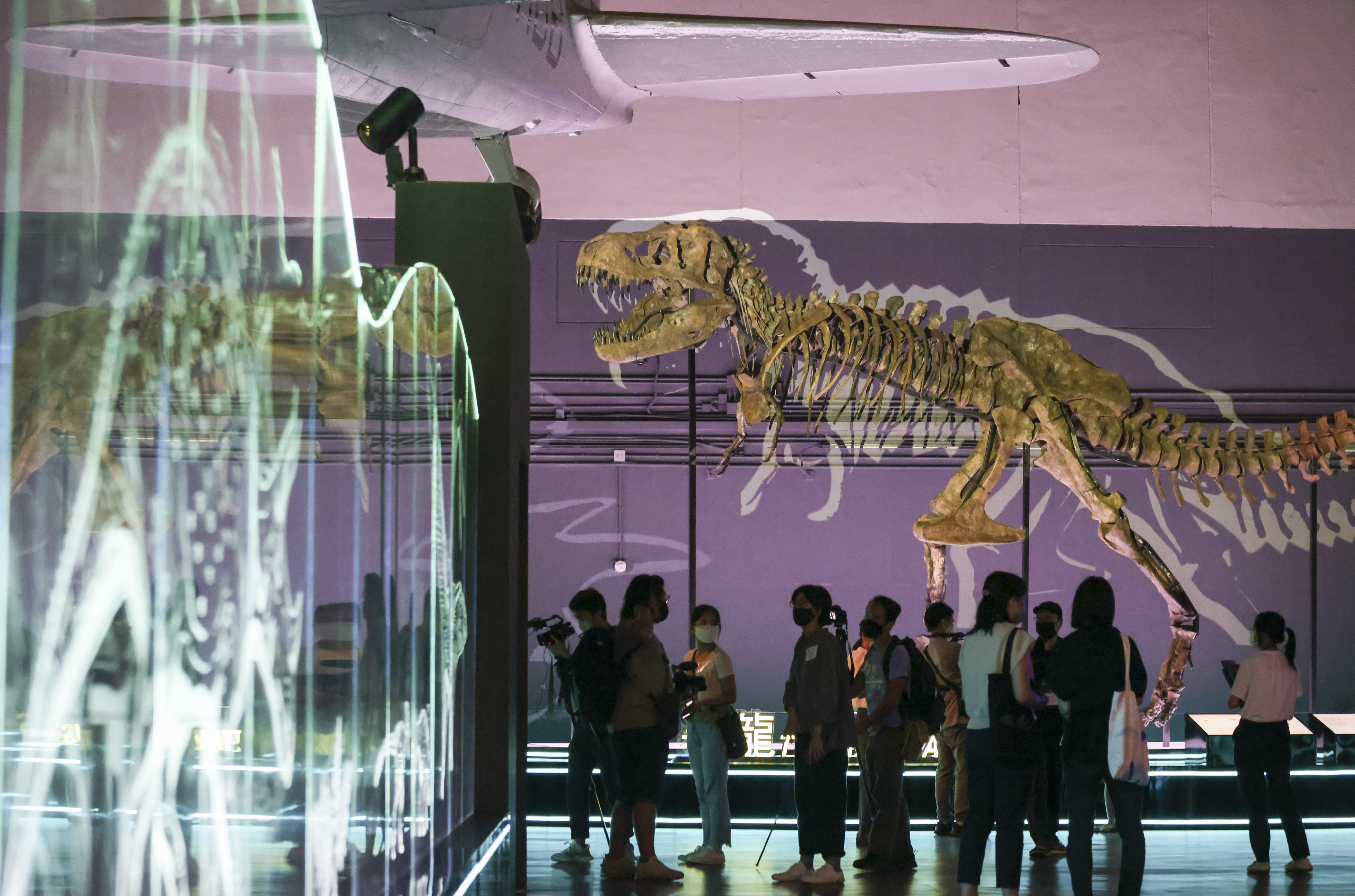 ‘The Big Eight - Dinosaur Revelation’ exhibition at the Hong Kong Science Museum will run until November 16. Photo: Nora Tam