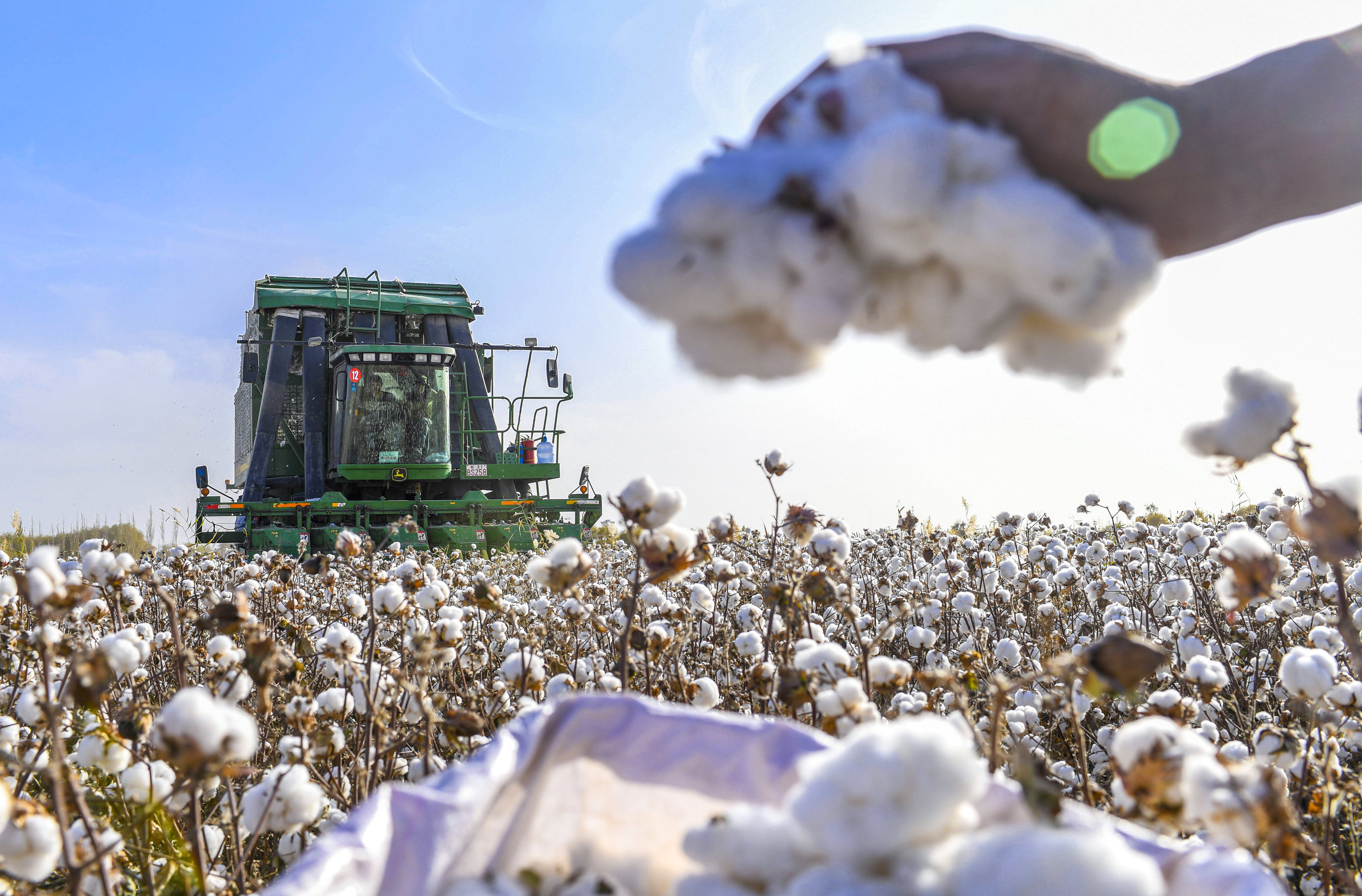 Xinjiang cotton dispute - latest news and updates | South China Morning ...