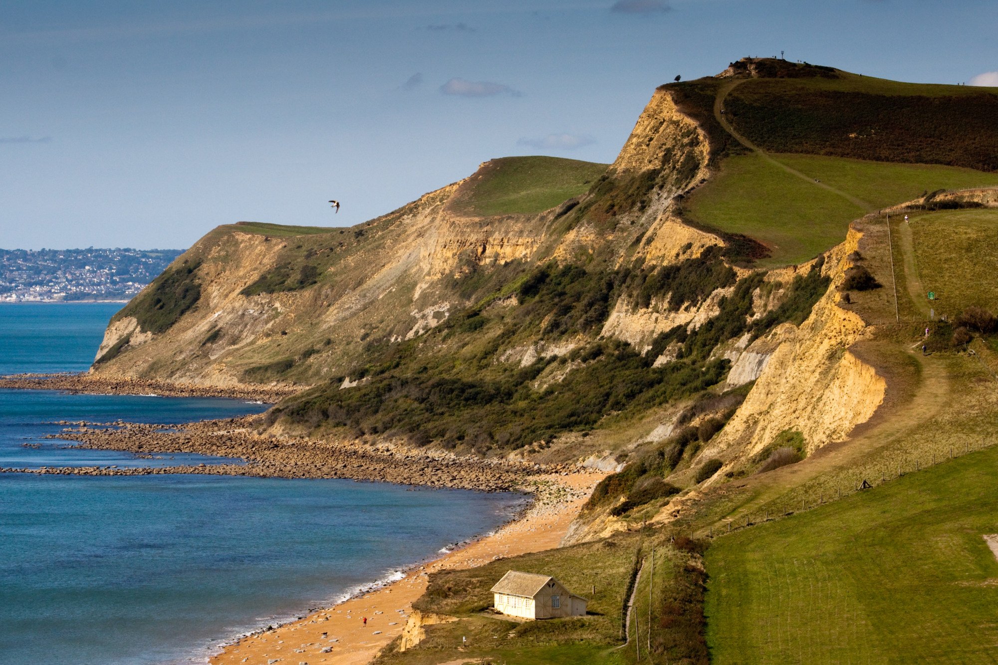 Lyme Regis’ dramatic Jurassic Coastline. Photo: Shutterstock
