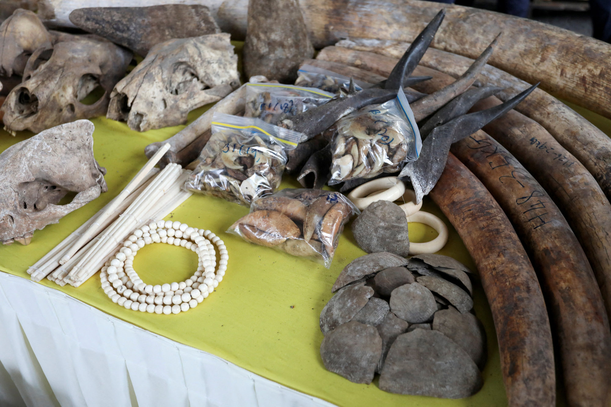Malaysia seizes US18 million in elephant tusks, rhino horns and