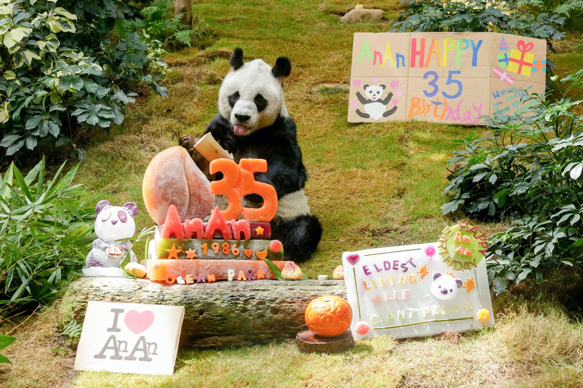 A celebration thrown for An An’s 35th birthday in August last year. Photo: Handout