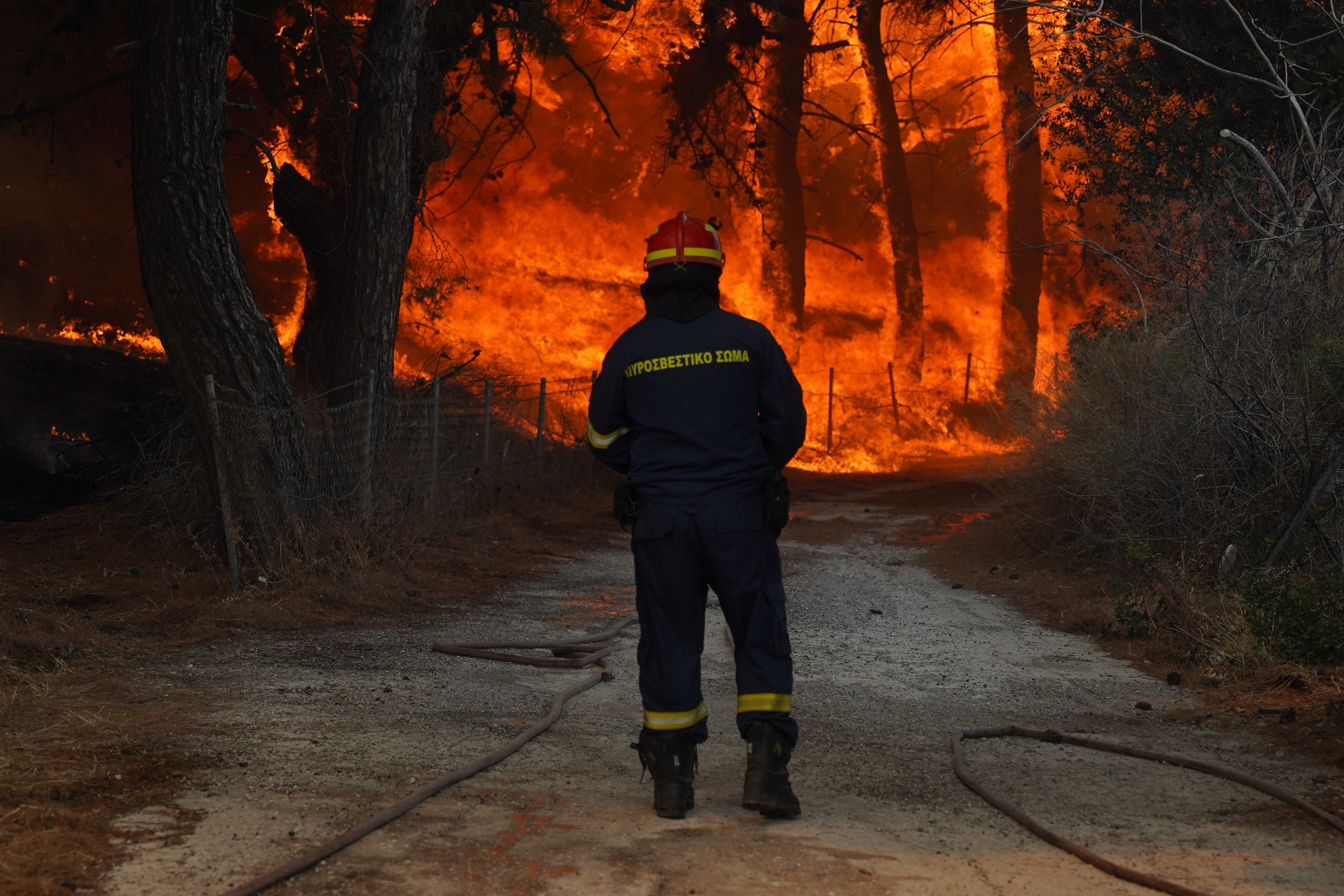 A firefighter tries to extinguish a forest fire near the beach resort of Vatera, on the eastern Aegean island of Lesbos, Greece on Saturday. Photo: AP 