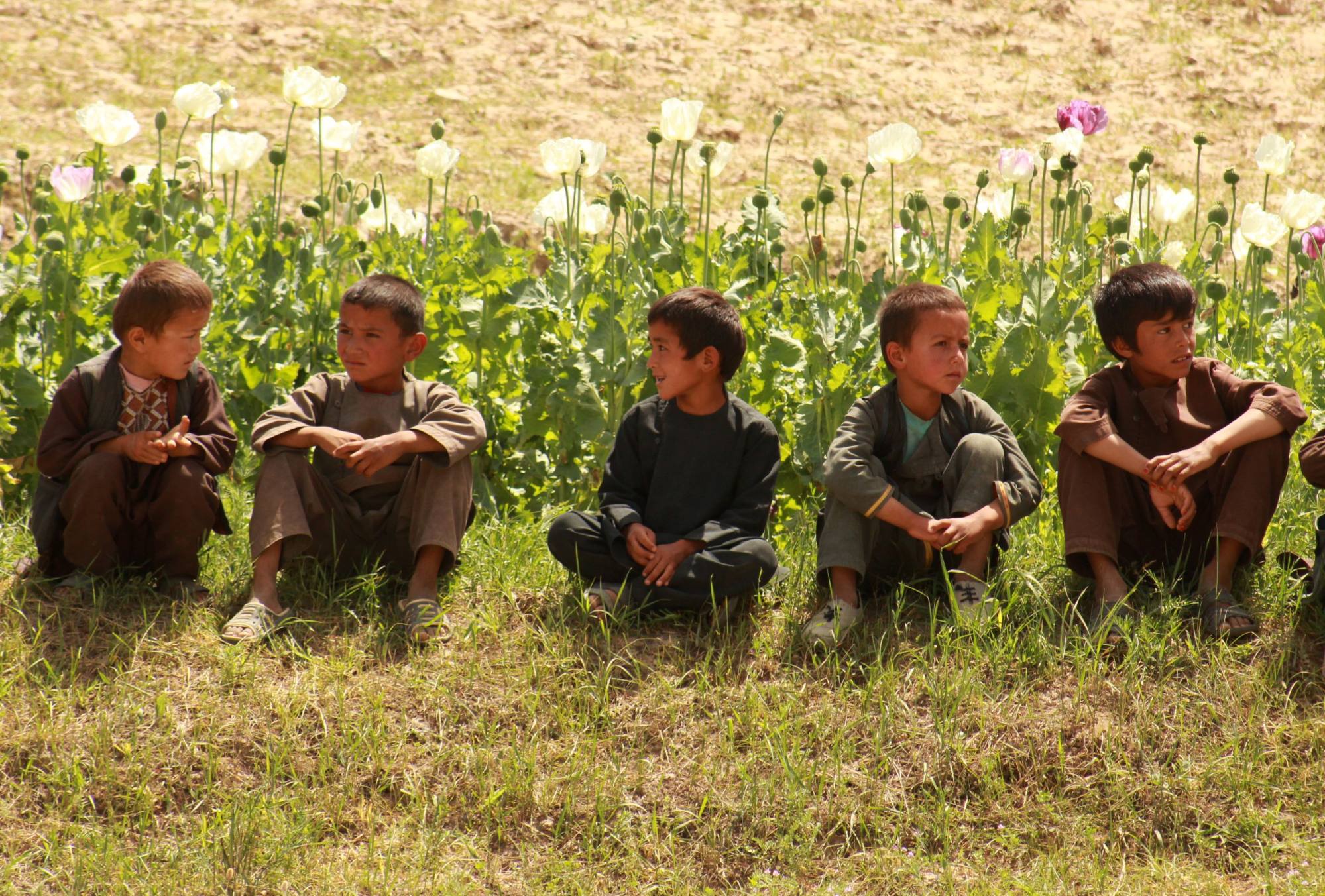 Afghan children sit next to a poppy field in the Argo district of Afghanistan’s Badakhshan province in 2018. The US government spent billions of dollars on a war to eliminate drugs from Afghanistan, but the country remains the world’s top opium producer. Photo: AFP