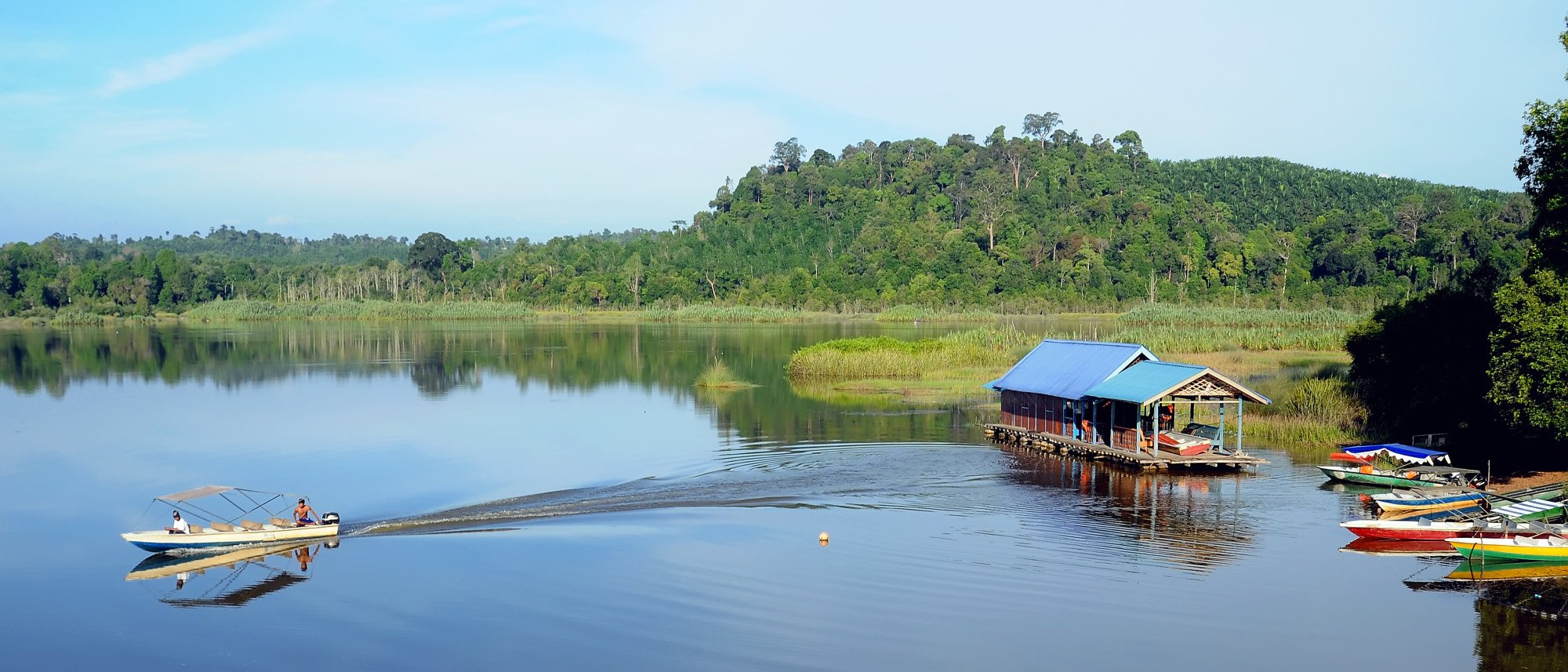 A boat crosses Tasik Chini. The lake is rumoured to be the home of a mythical ‘dragon god’. Photo: Shutterstock