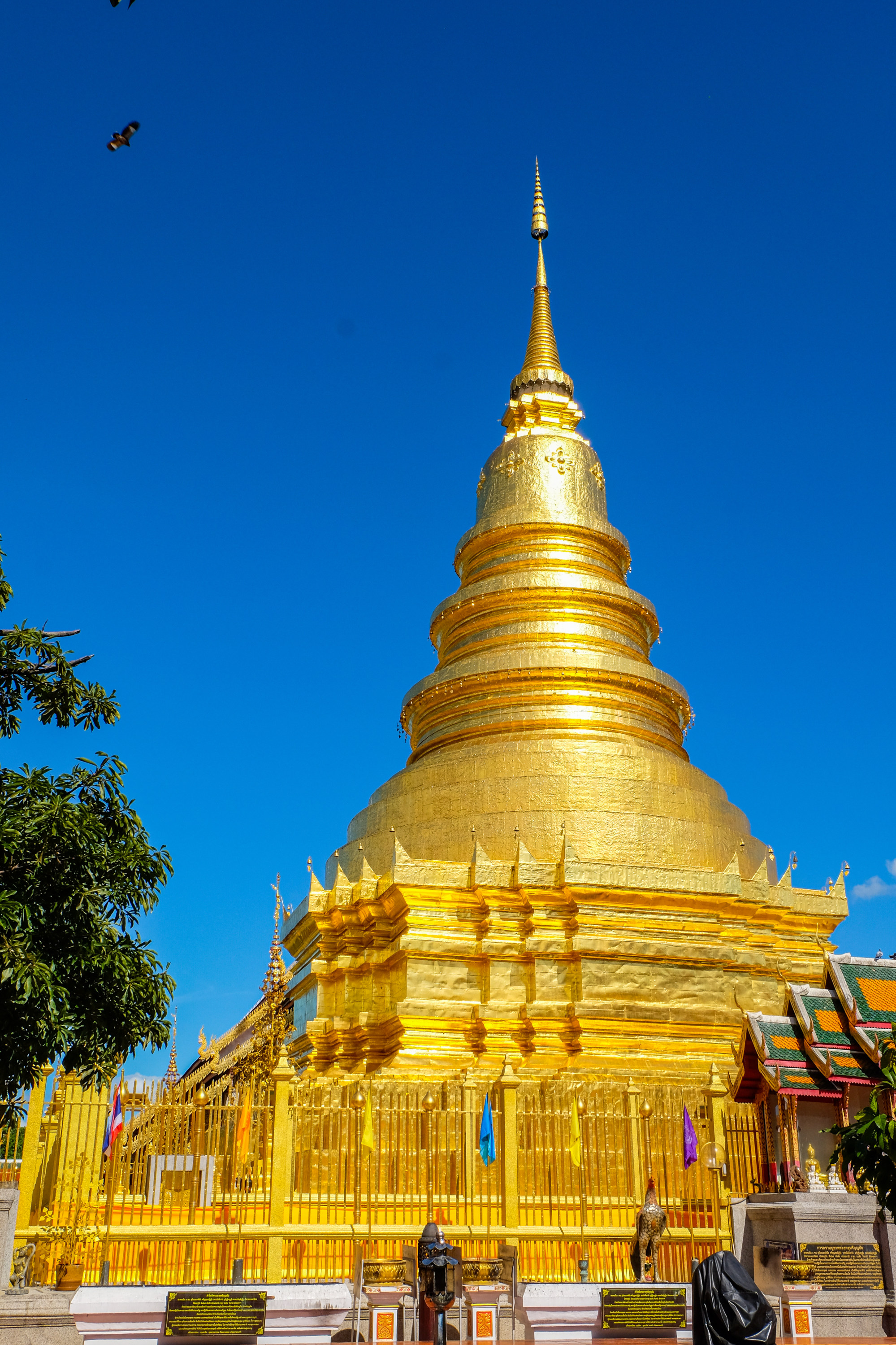 The golden stupa at Wat Haripunchai. Photo: Ron Emmons