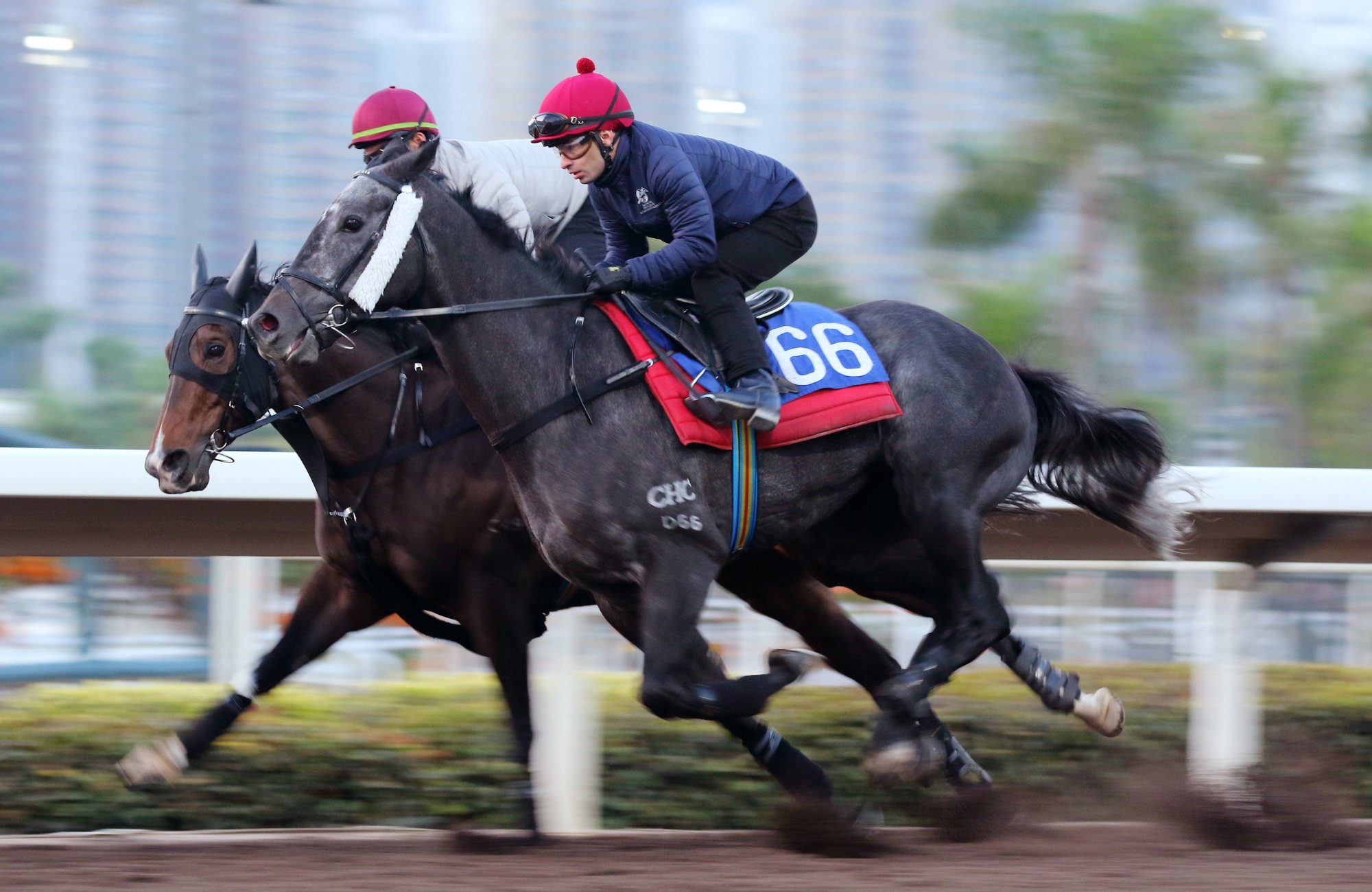 ENJOYING (66) ridden by Silvestre de Sousa galloping on the all weather track at Sha Tin in January, 2020. Photo: Kenneth Chan