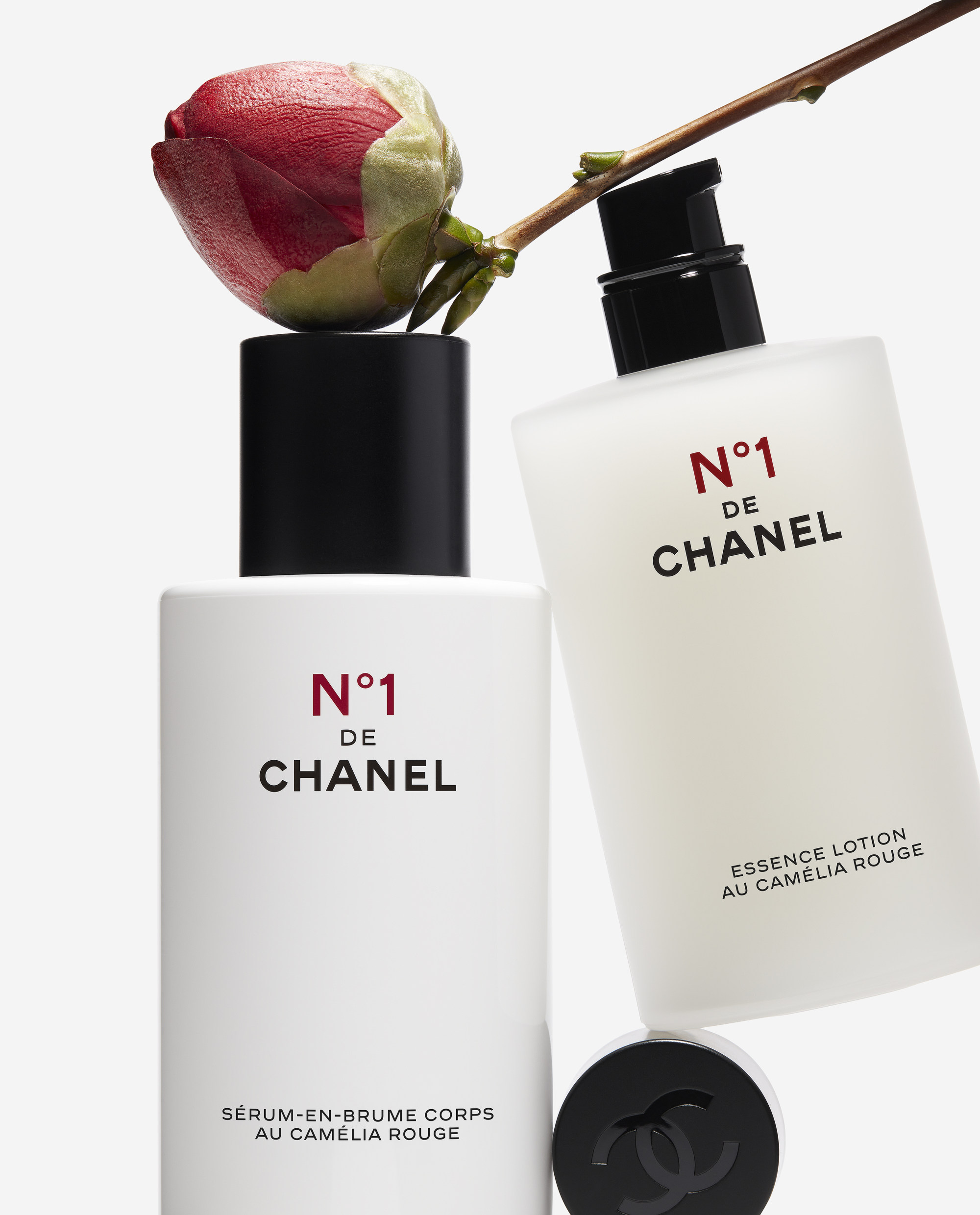 POST EDIT: N°1 de Chanel skincare's magic lies in the red camellia