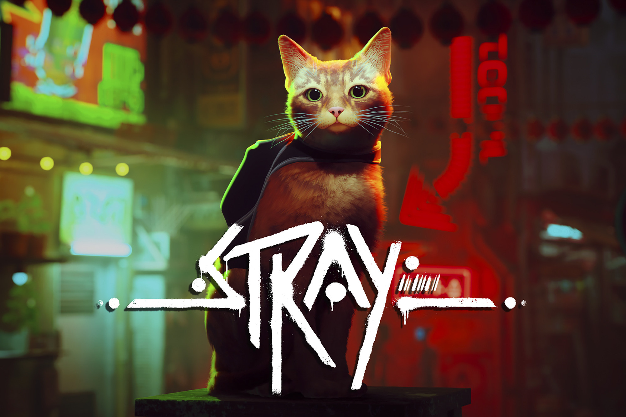 Stray the feline video game is helping cats in real life – gamers  live-stream themselves playing it for audiences to raise funds for pet  charities | South China Morning Post