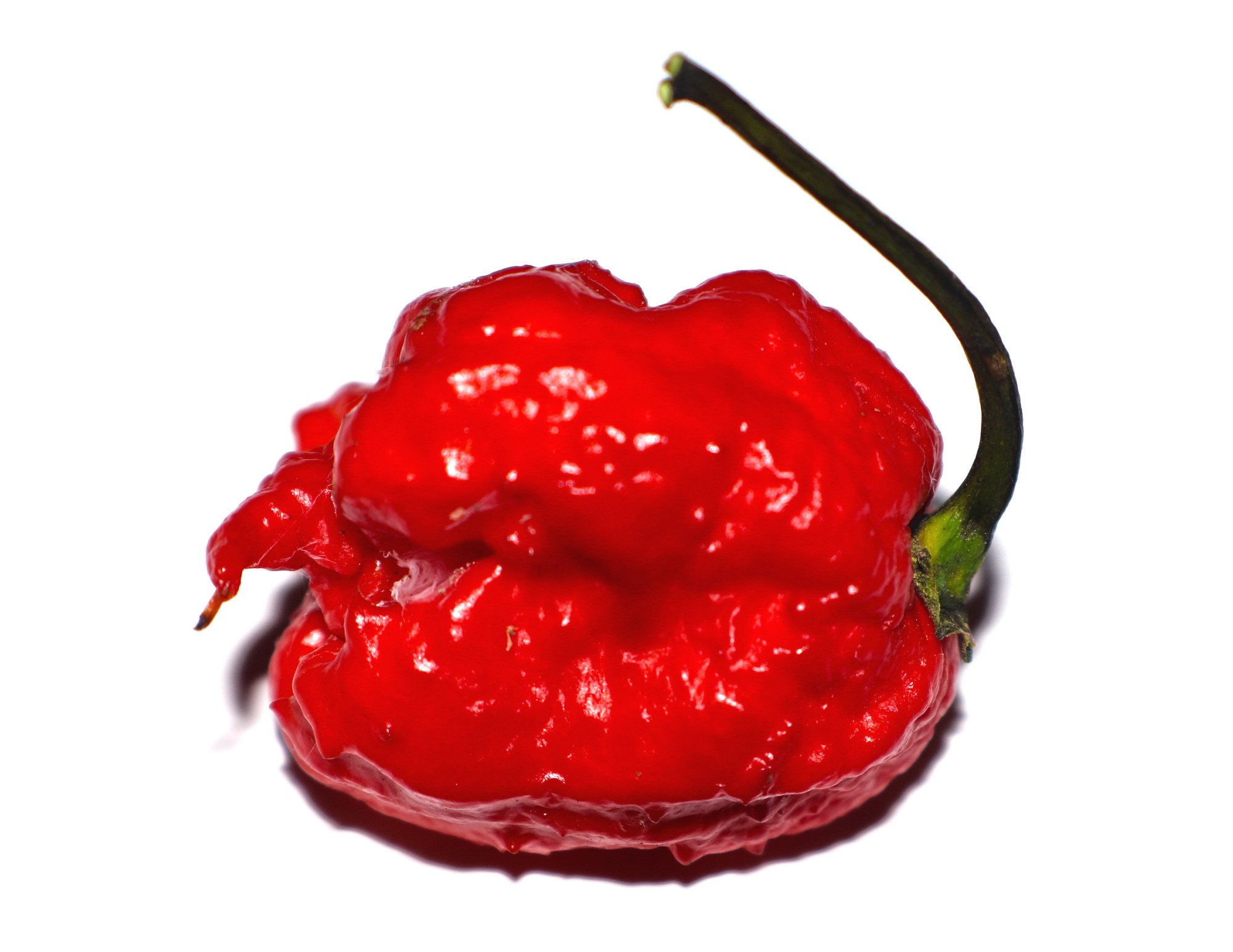 What's It Like to Eat the World's Hottest Chile Pepper?