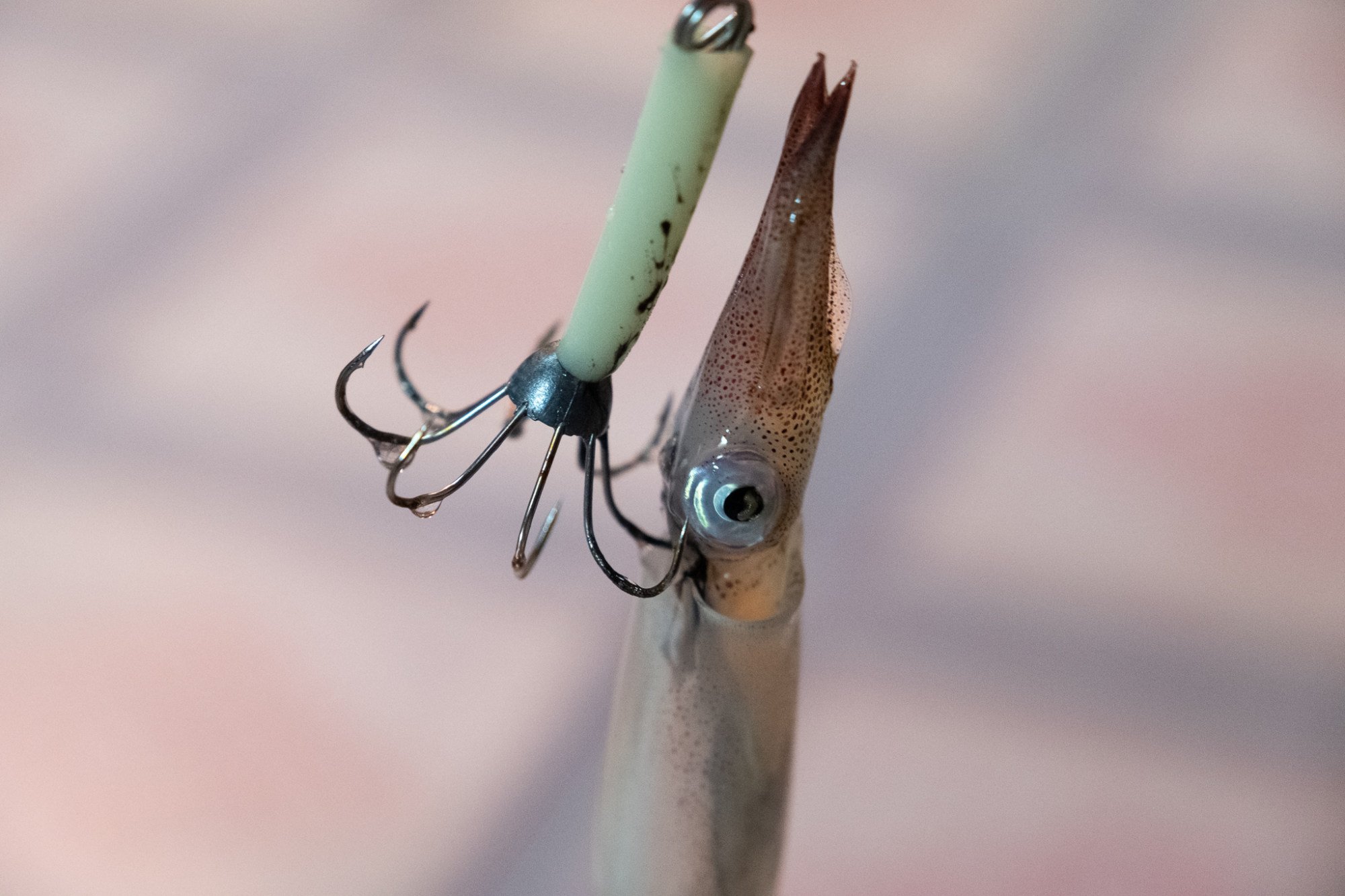 Portable Bionic Squid Fishing Lure - Deep Sea Malaysia