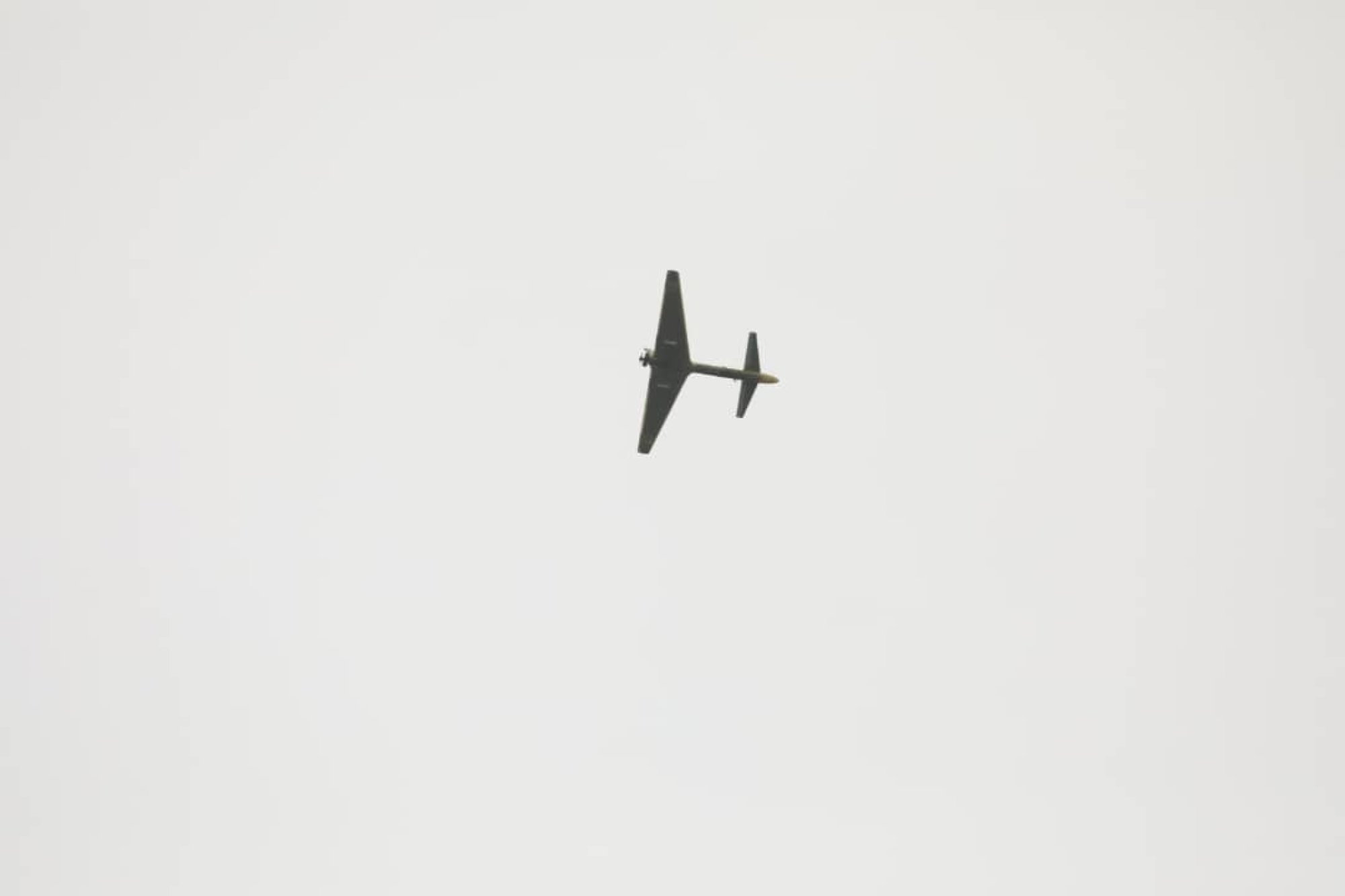 A photo of a military unmanned aerial vehicle (UAV or drone) on the Iranian Army’s official website. Photo: Iranian Army Office via ZUMA Press Wire/dpa