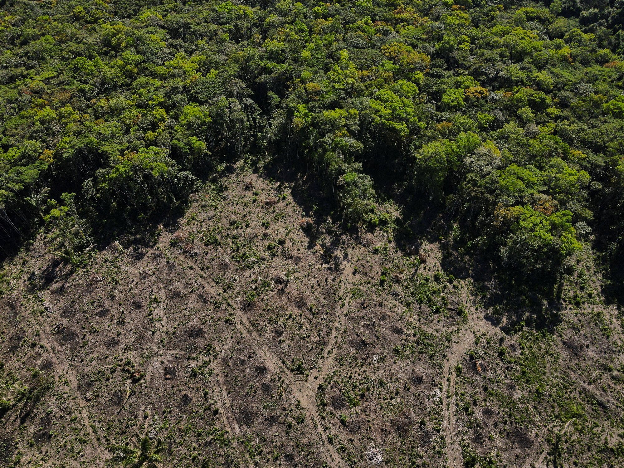 An aerial view shows a deforested plot of the Amazon rainforest in Manaus, Amazonas in Brazil. Photo: Reuters