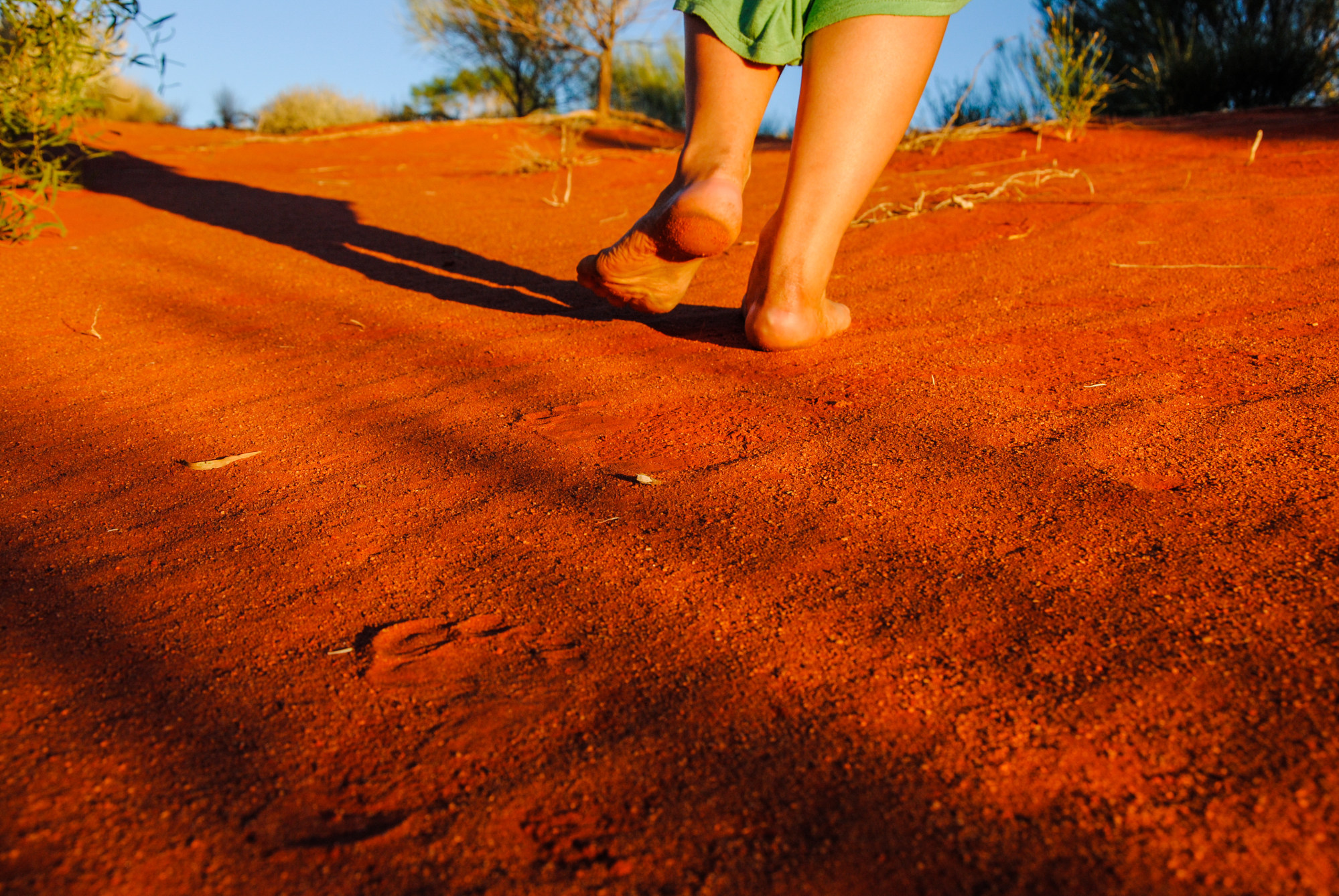 Most debris on the ground is not hazardous to bare feet — Born to Live  Barefoot