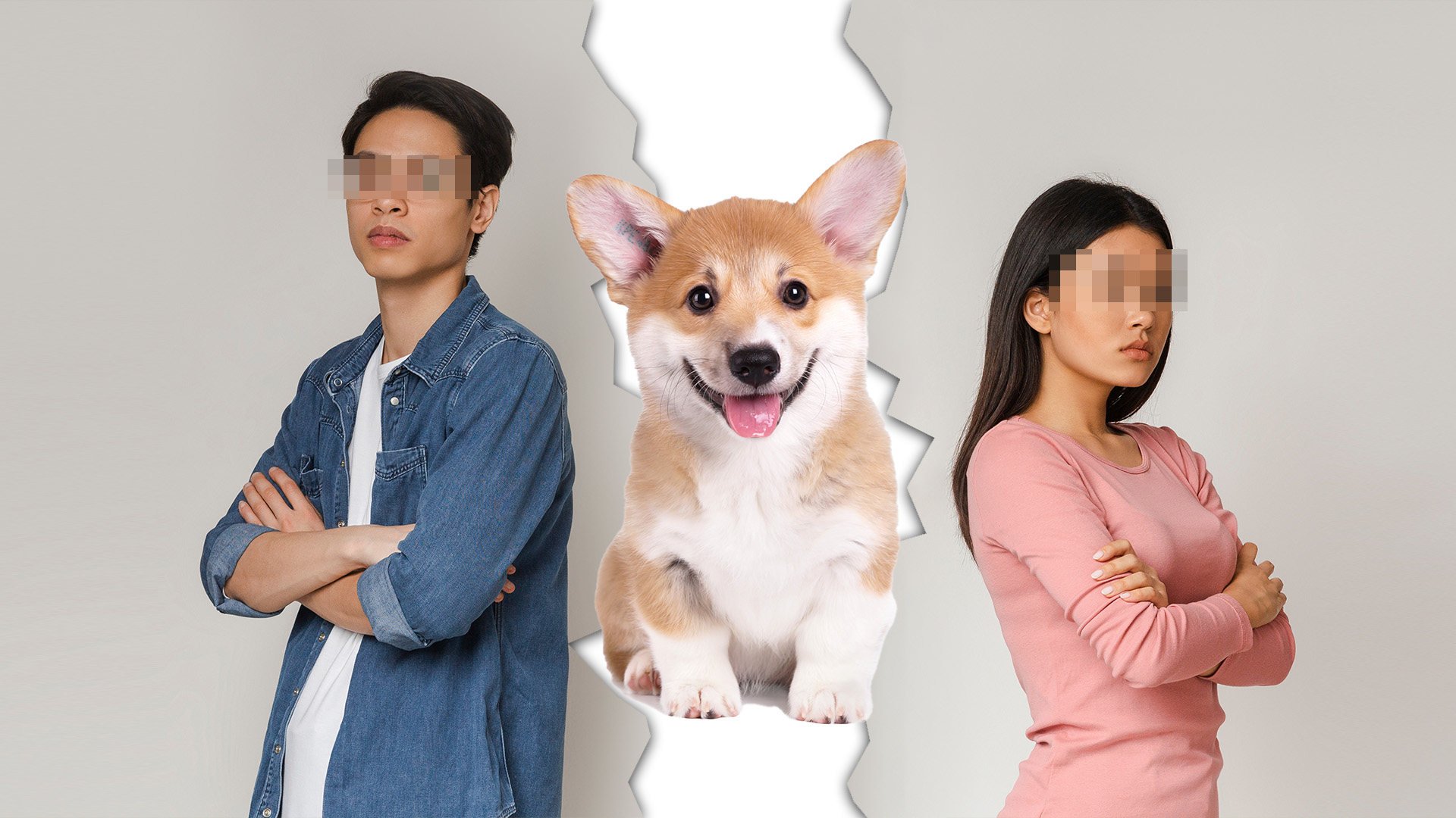 'Not without my corgi': divorce in China turns nasty after couple can't agree on custody of pet dog | South China Morning Post