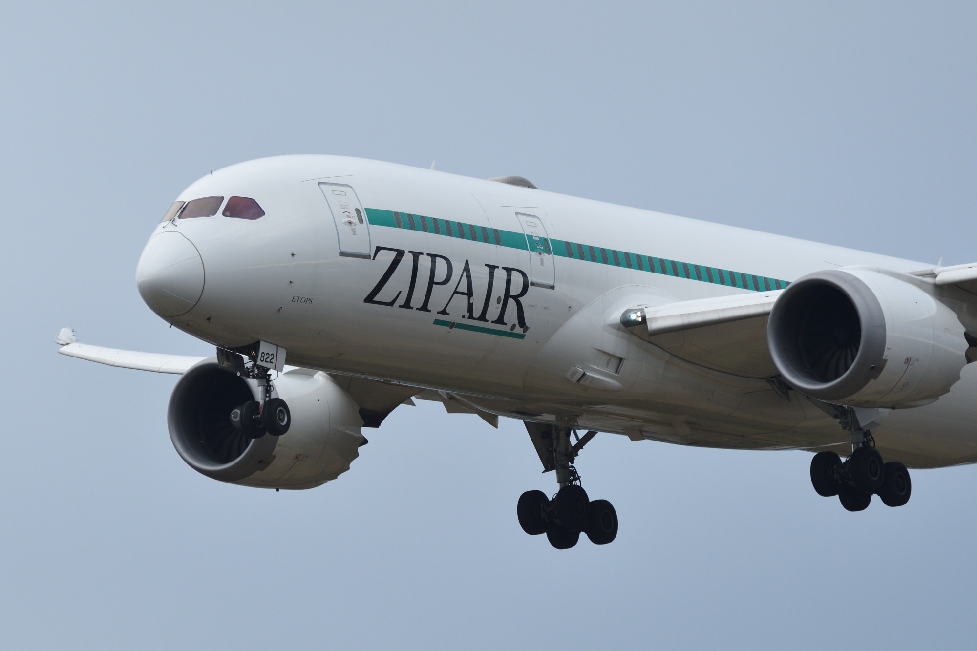 Based at Narita airport near Tokyo, Zipair began operations in late 2020. Photo: Shutterstock