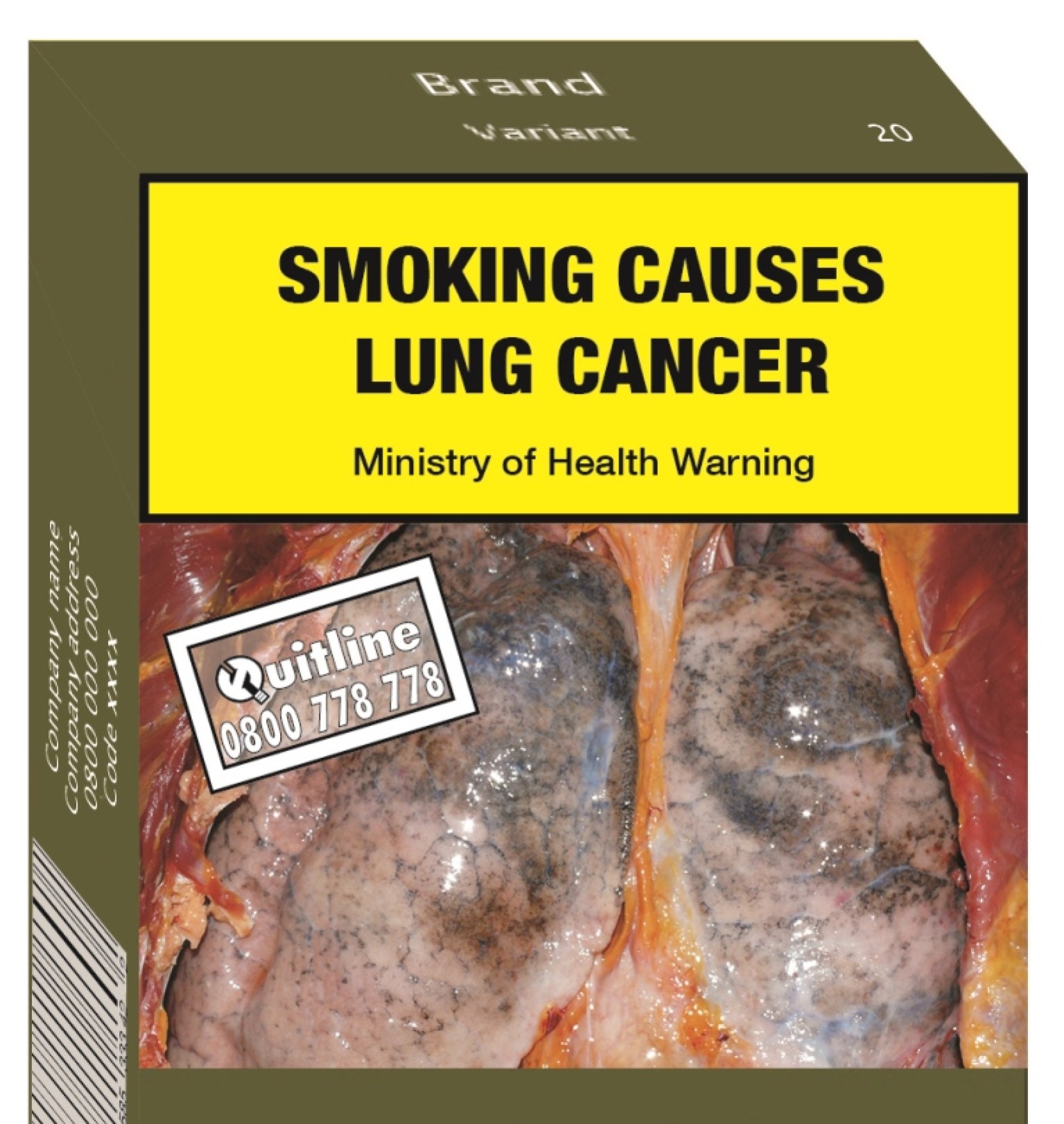 Cigarette packaging in New Zealand already carries graphic warnings about its possible consequences. Photo: The New Zealand Ministry of Health