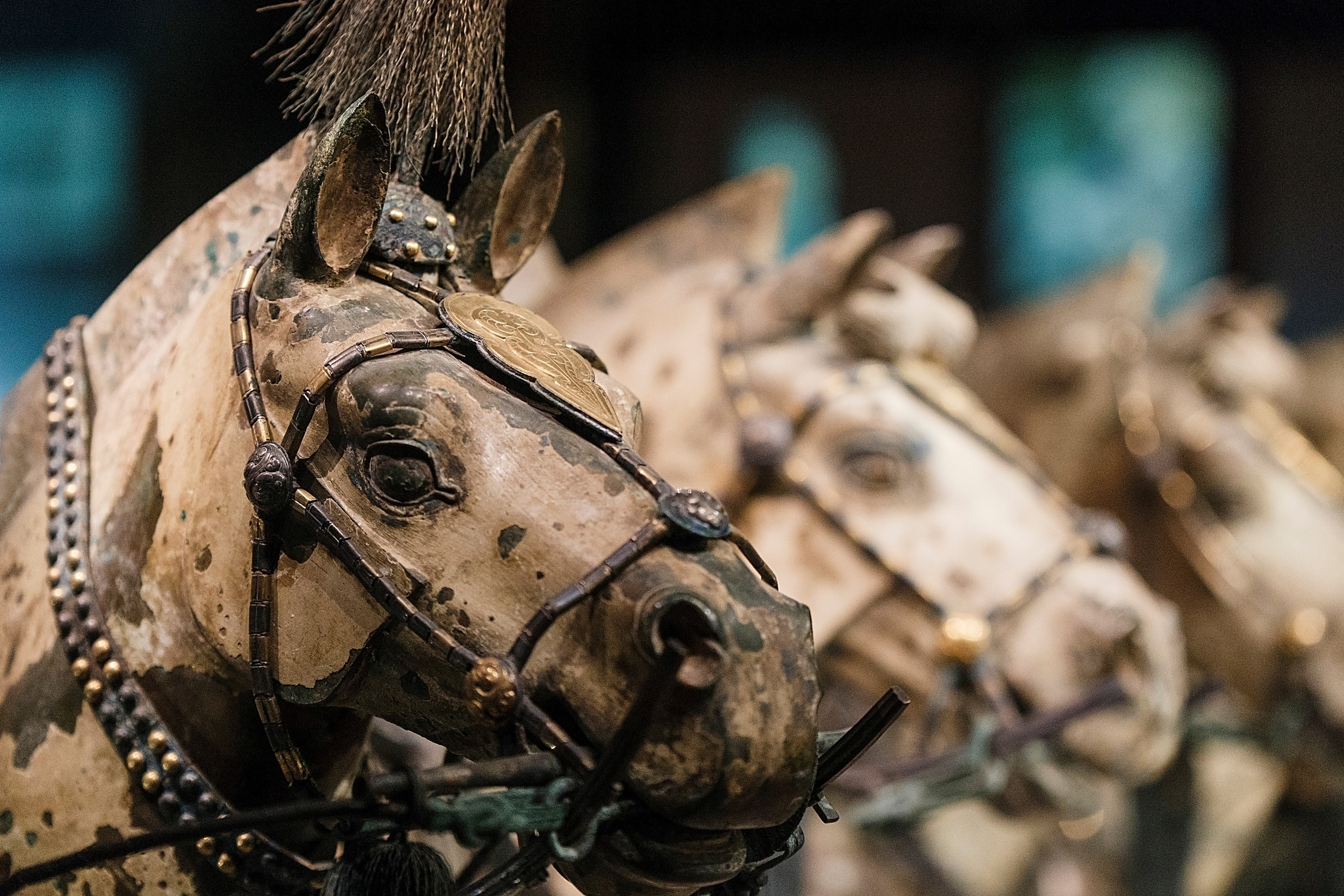 Horses, both real and fake, are a significant part of the Mausoleum of the First Qin Emperor, famous for the Terracotta Army. Photo: Shutterstock