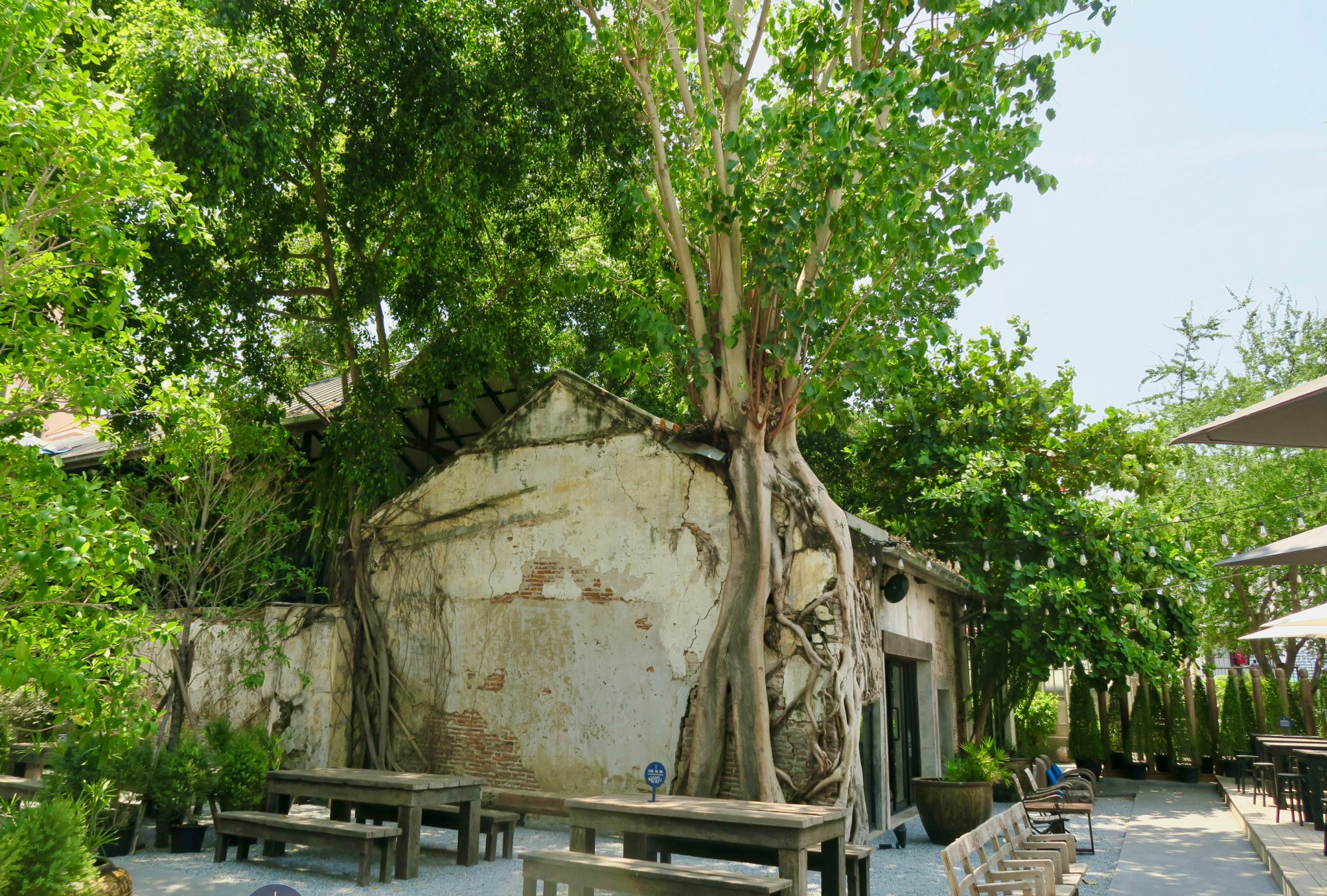The paint may be peeling and the roots of trees are threatening to tear apart the walls, but one of the most Instagram-friendly spots in Bangkok lies within these grounds. Photo: Mavis Teo