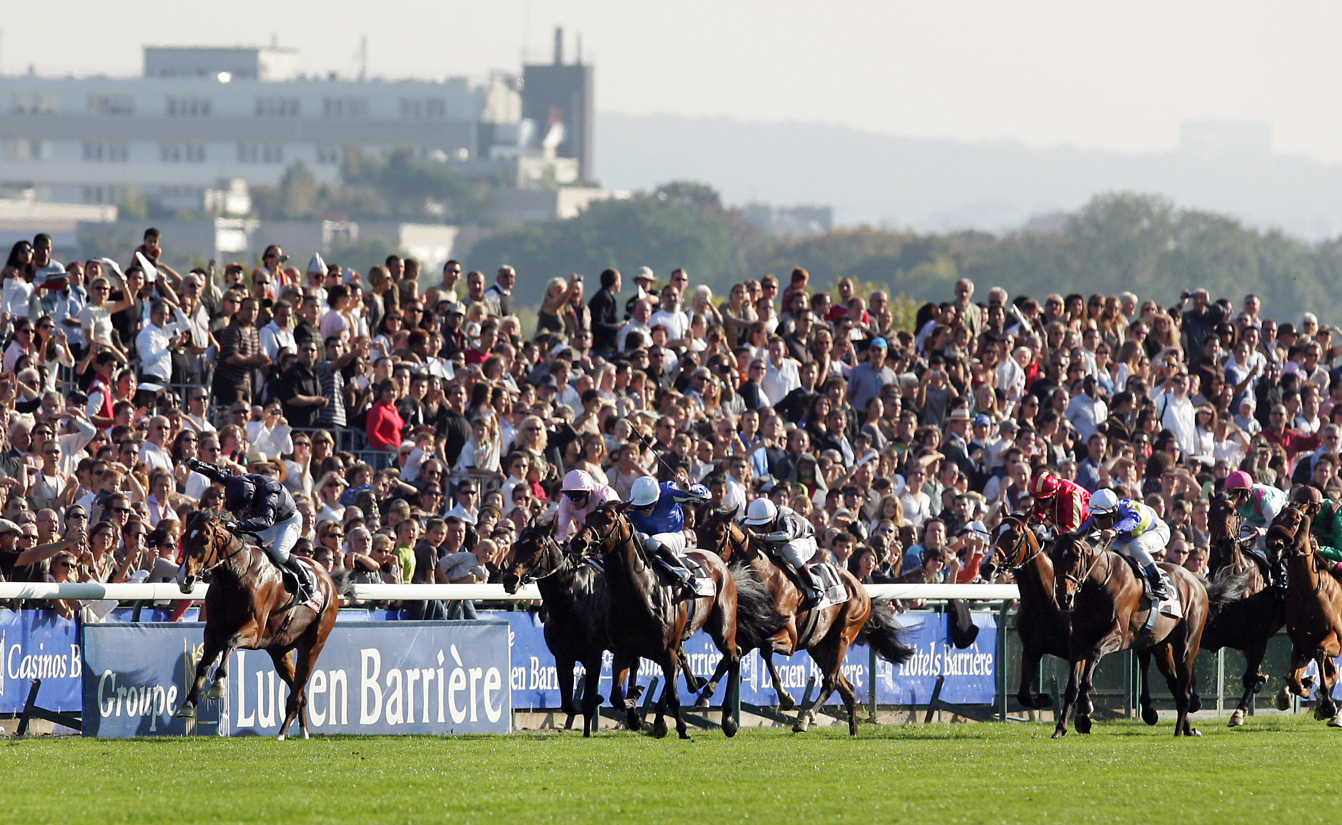 Alpinista is targeting the Prix de l’Arc de Triomphe. Photo: AFP