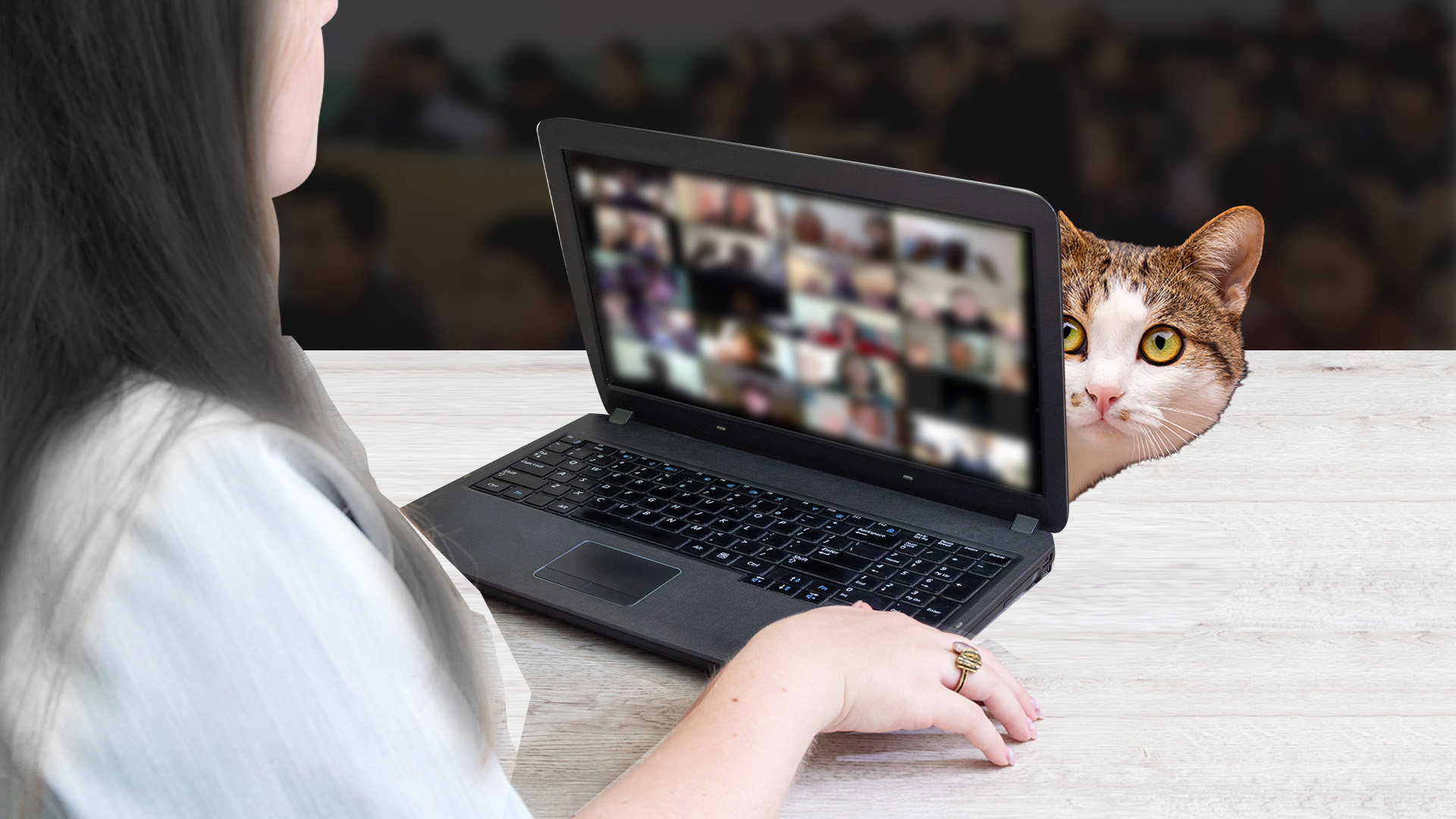 Someone was so offended at a cat appearing on screen during a teacher’s online class that her employer fired her, prompting her to take legal action. Photo: SCMP artwork