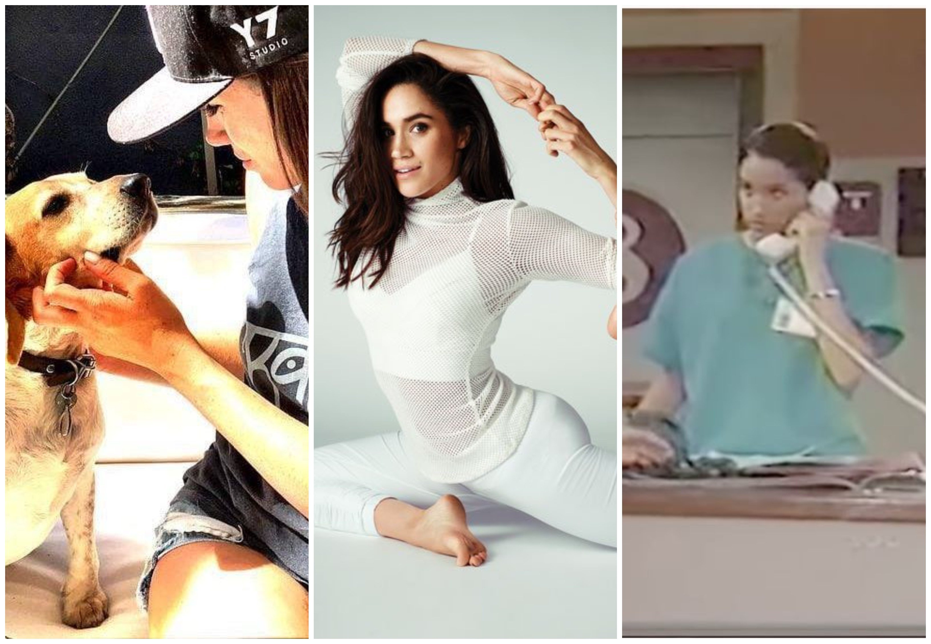 Bogart the dog has Ellen DeGeneres to thank for being adopted, Meghan Markle credits her mother for her yoga skills, and she got her first gig on General Hospital. Photos: @bigbarkerusa, @theKGofficial/Twitter; Meghan Maven/YouTube