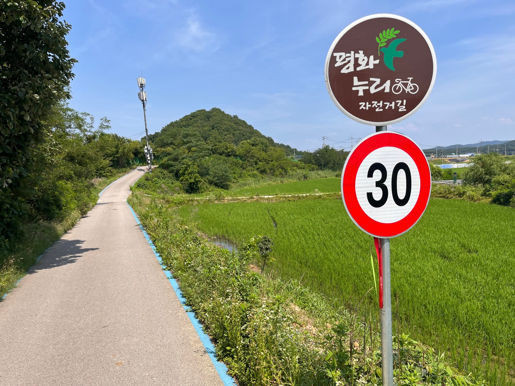 The Pyeonghwa Nuri-gil bike path passes through verdant farmland along the DMZ. Photo: Matthew C. Crawford