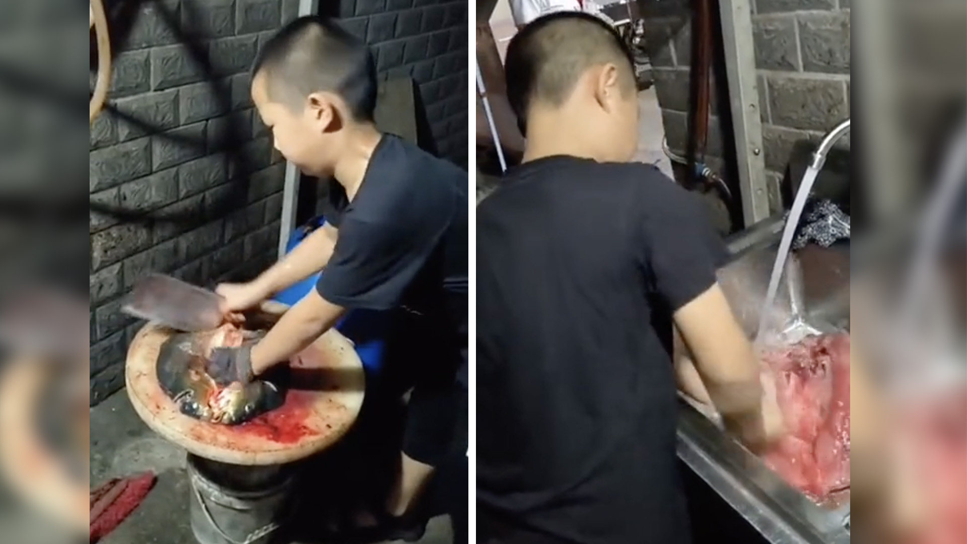 A boy filmed expertly cleaning fish has attracted praise for his skill online, but some have questioned if it is safe for a small child to handle knives. Photo: Douyin