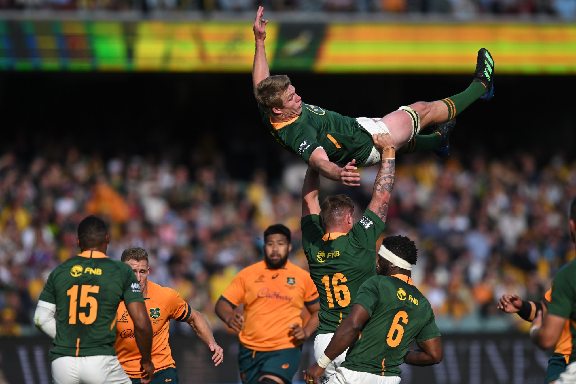 Pieter-Steph du Toit of the Springboks takes flight against the Wallabies. Photo: EPA-EFE