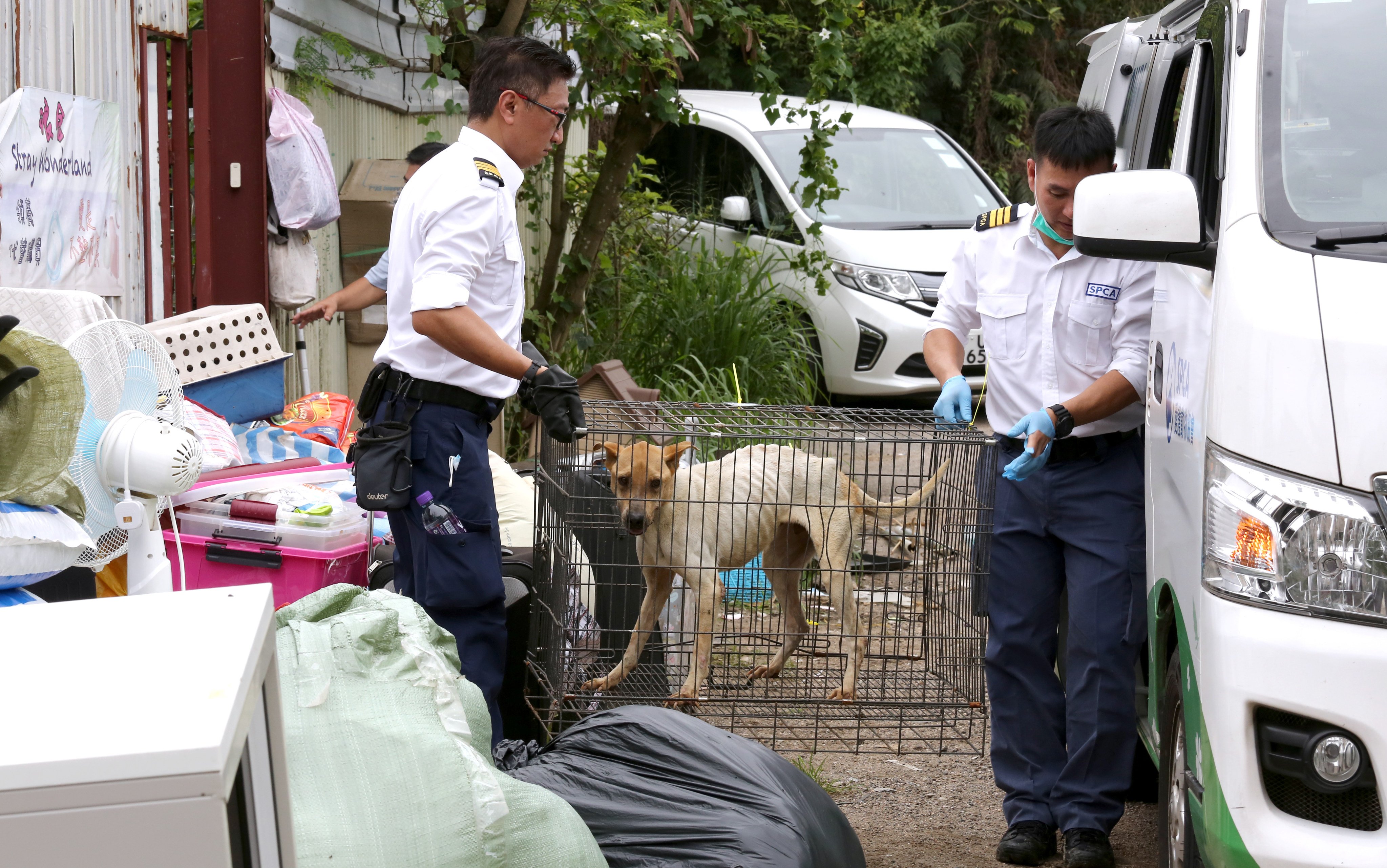 SPCA officers rescue pets during an operation in Hong Kong. Pet owners face stiffer penalties under proposed legislation. Photo: Jonathan Wong