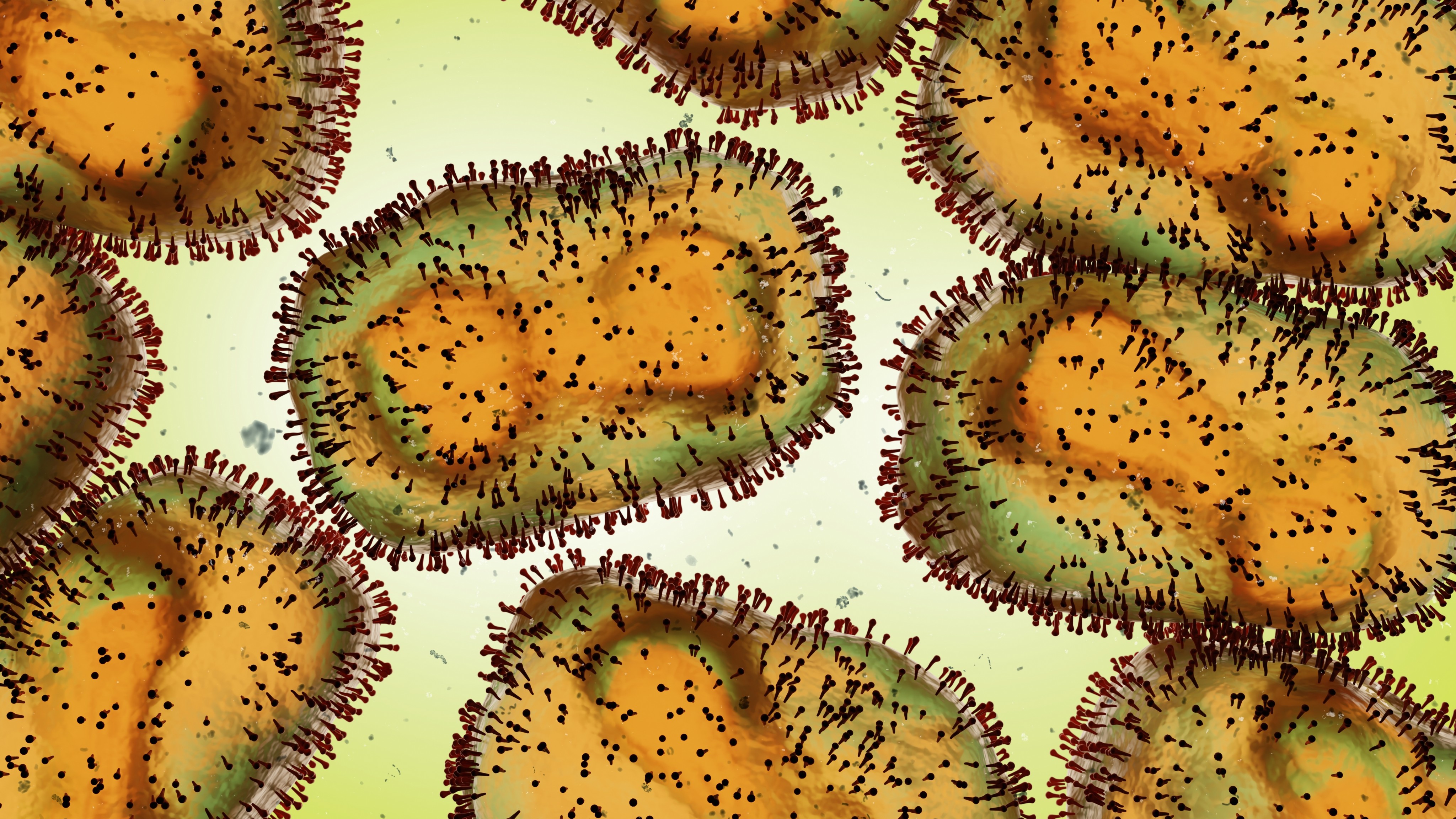 Monkeypox virus, one of the human orthopoxviruses, pathogen closeup. Photo: Shutterstock