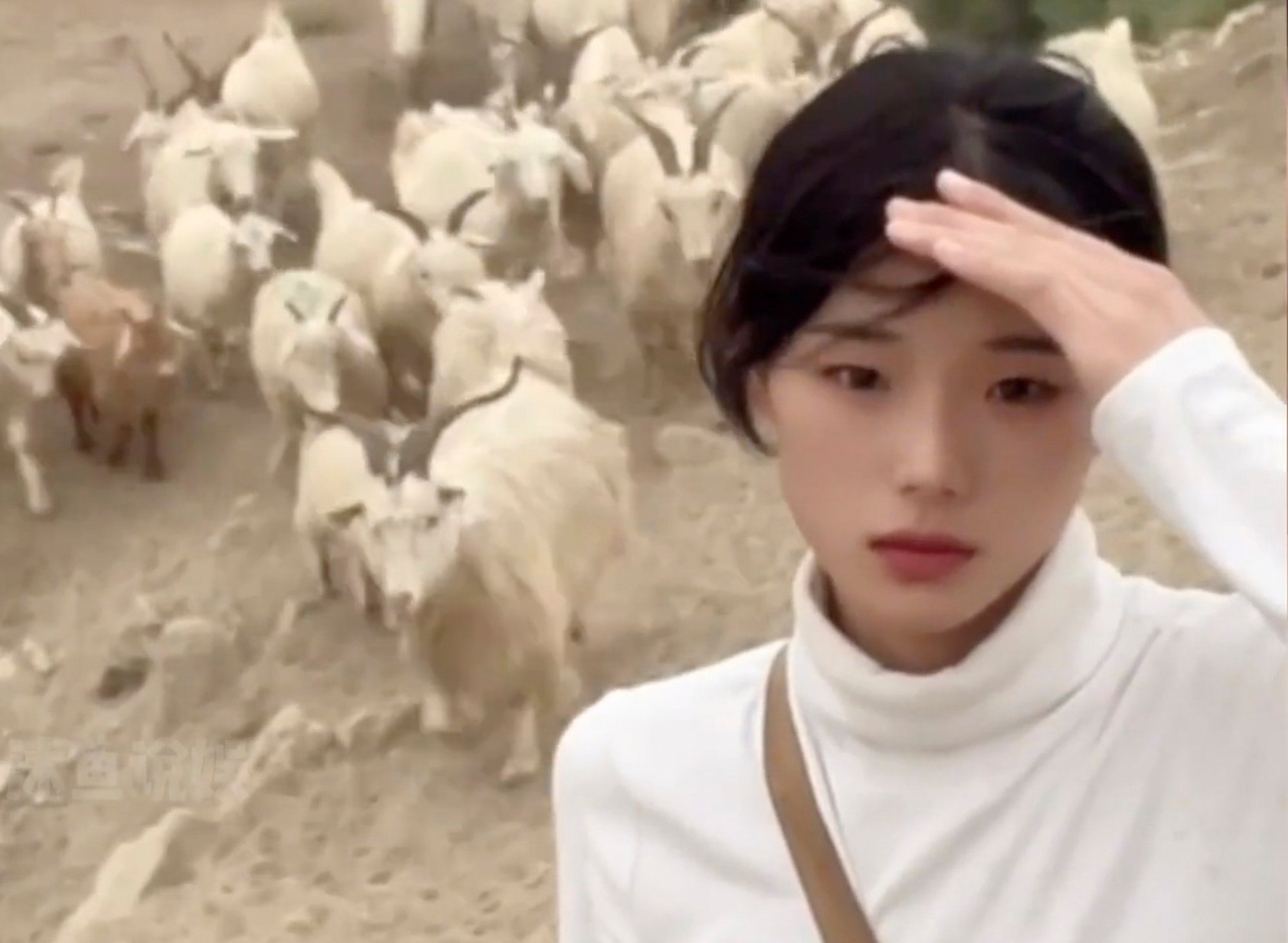 Huiran spends a lot of her time alone while tending her herd giving her many opportunities to appreciate and film the landscape of northwestern China. Photo: Baidu