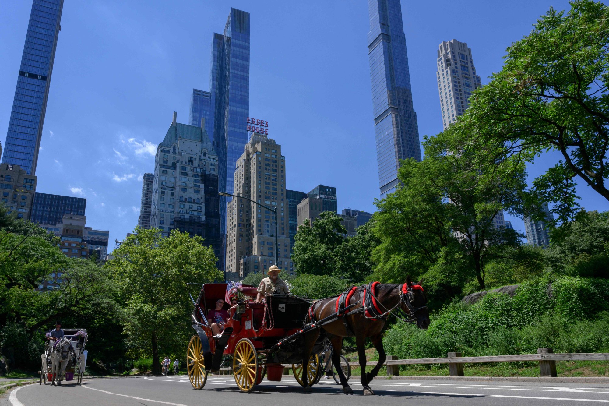 ‘They’re literally treated as machines’: New York’s iconic horse-drawn ...