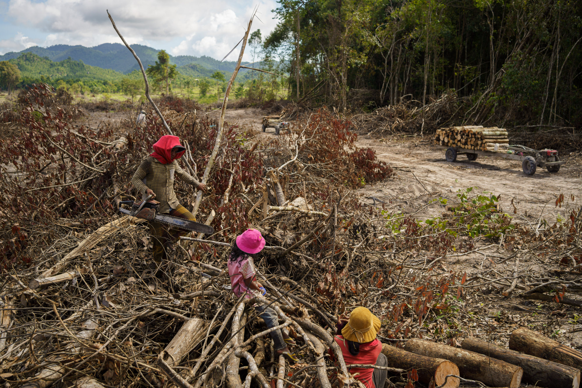 Villagers collect wood that was discarded by workers hired by Brigade 70 to clear the Metta forest. Photo: Thomas Cristofoletti / Ruom