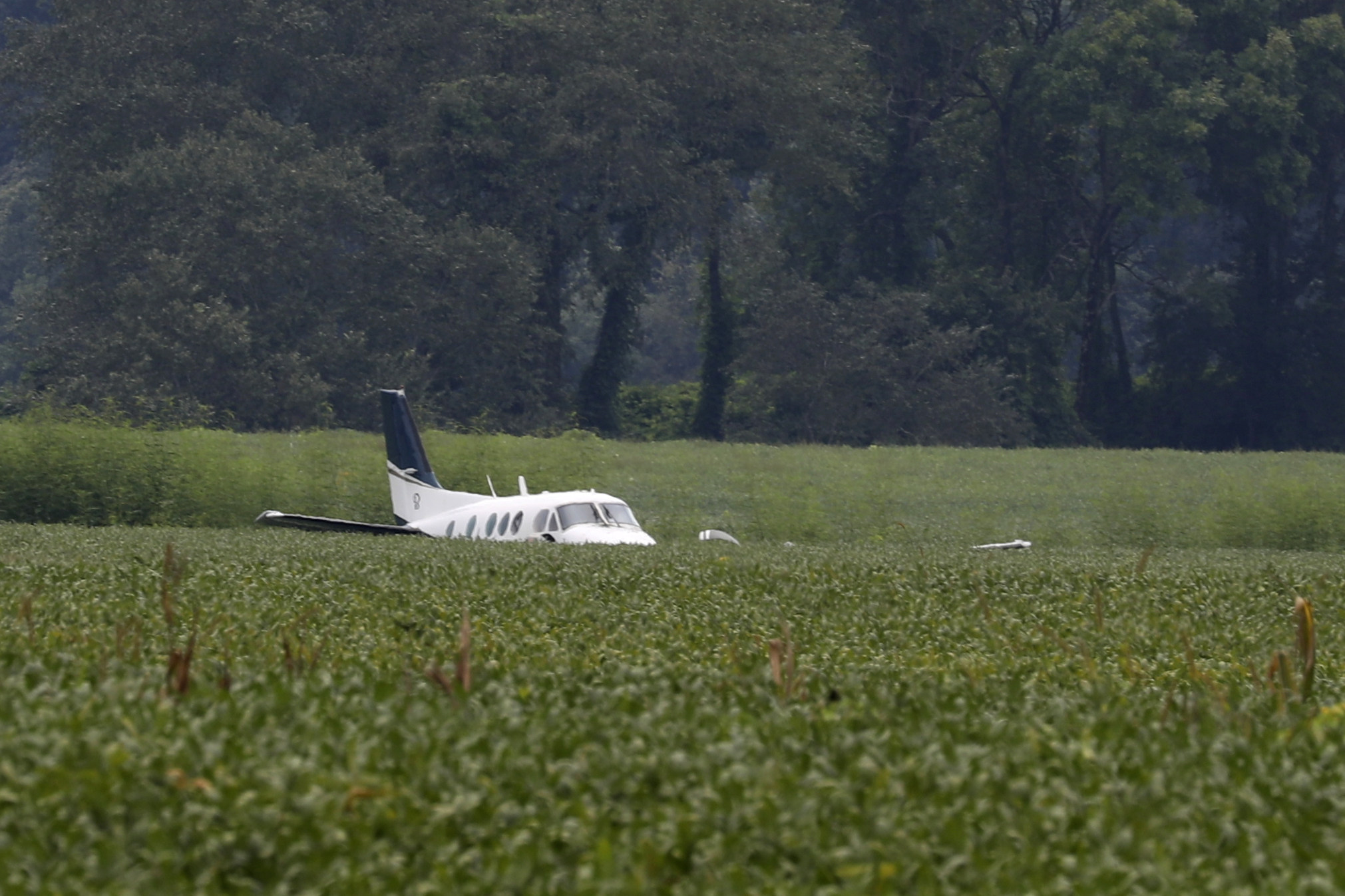 A stolen plane rests in a field after crash-landing near Ripley, Mississippi on Saturday. Photo: AP