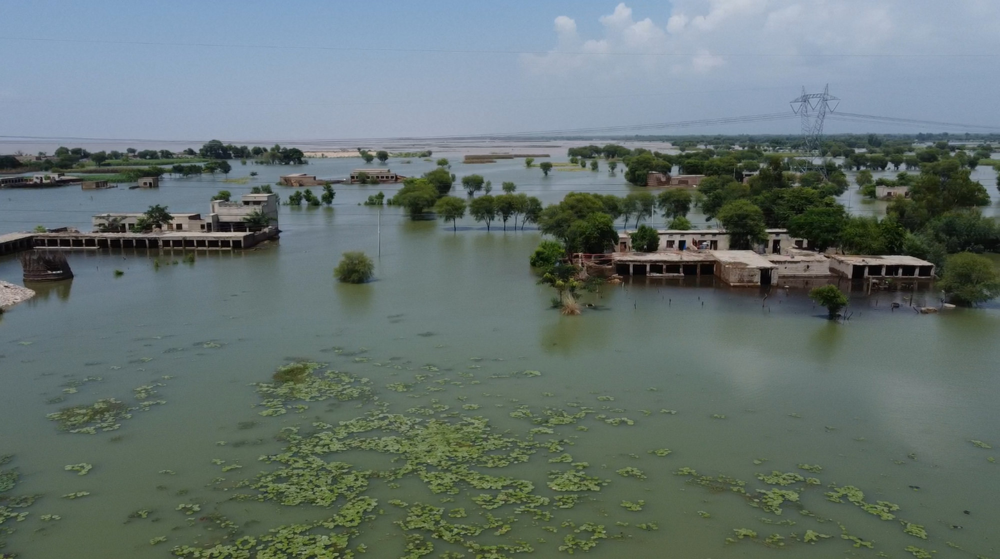 Successive flood surges since late July have inundated villages and destroyed standing crops in the central Pakistan region of Dera Ghazi Khan. Photo: Salman Farooque