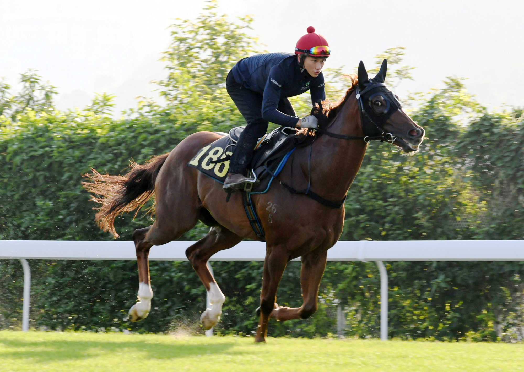 Duke Wai works under Jerry Chau at Sha Tin this week.