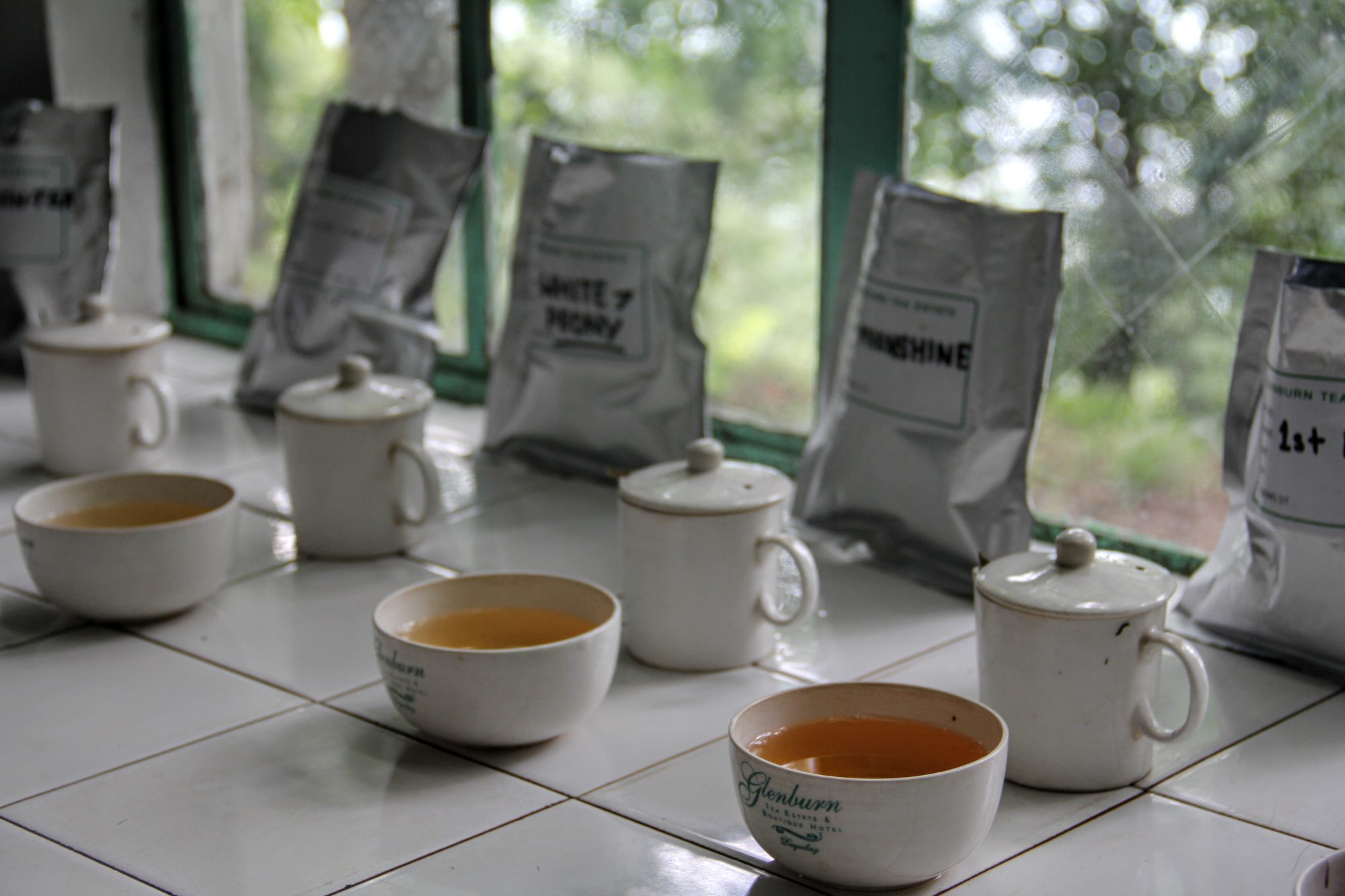 Samples of tea at the Glenburn Tea Estate. Photo: Kalpana Sunder