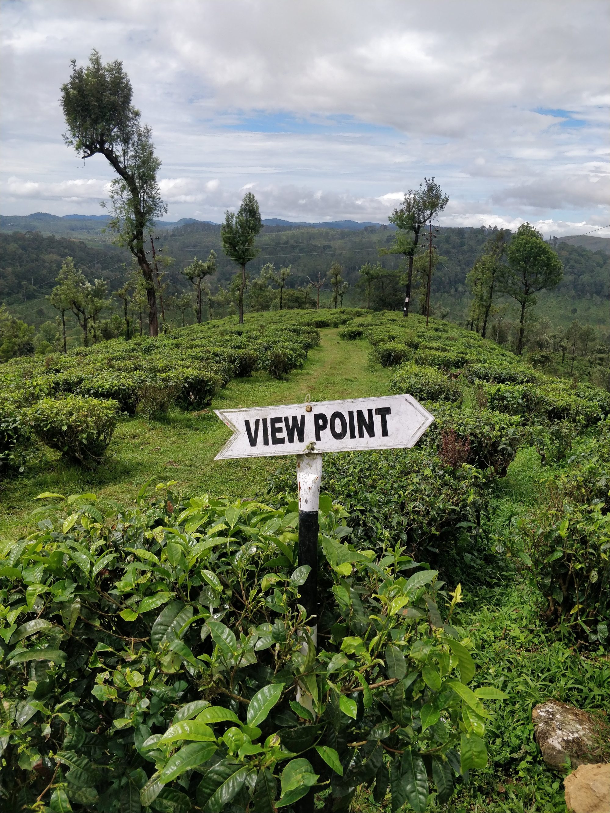 The grounds at Sinna Dorai’s Bungalow. Photo: Kalpana Sunder