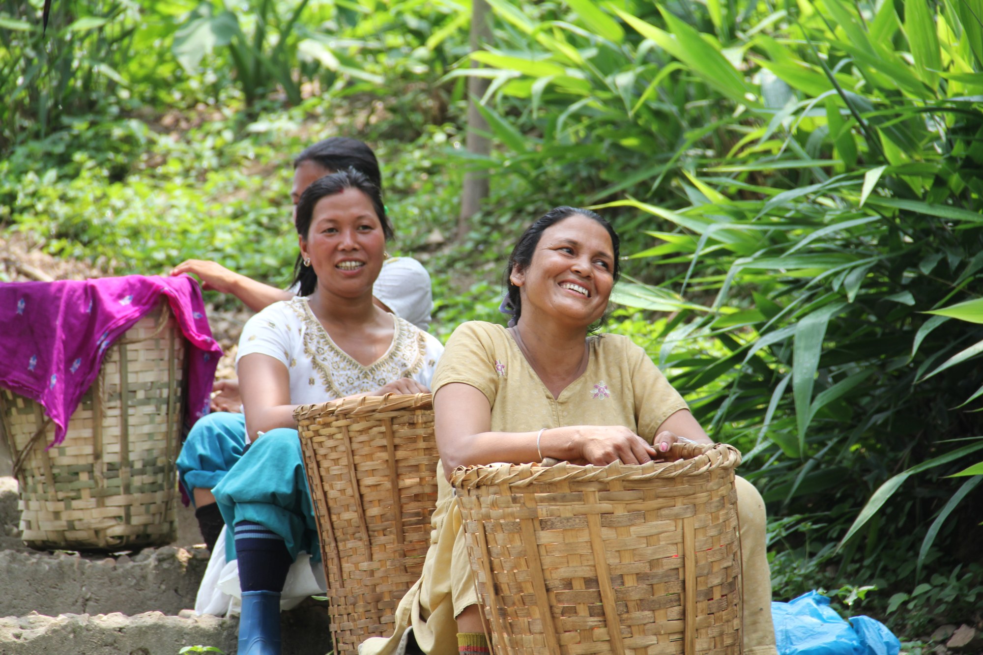Tea pickers at the Glenburn Tea Estate. Photo: Kalpana Sunder