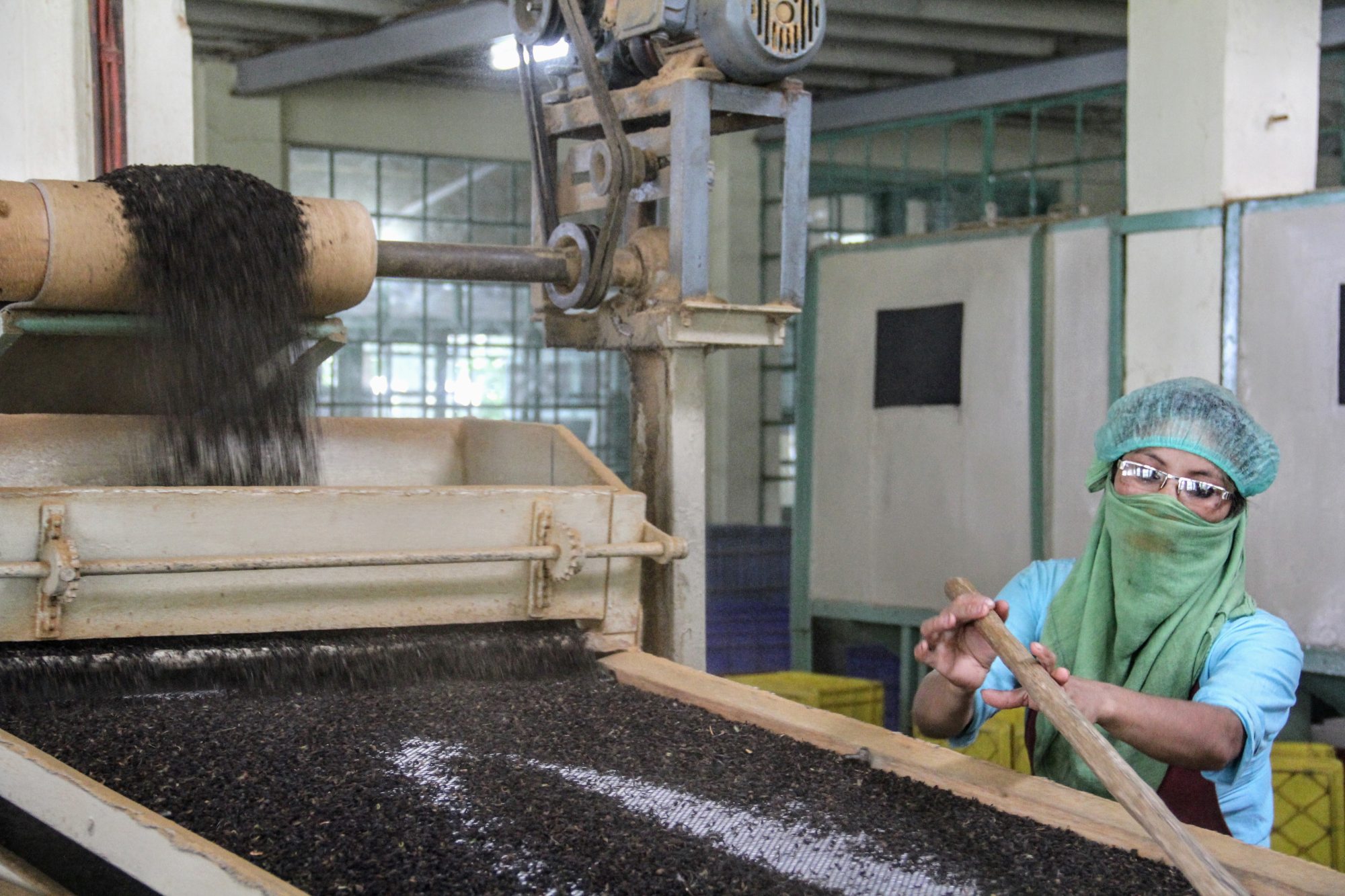 Dried tea leaves are sorted at the Glenburn Tea Estate. Photo: Kalpana Sunder