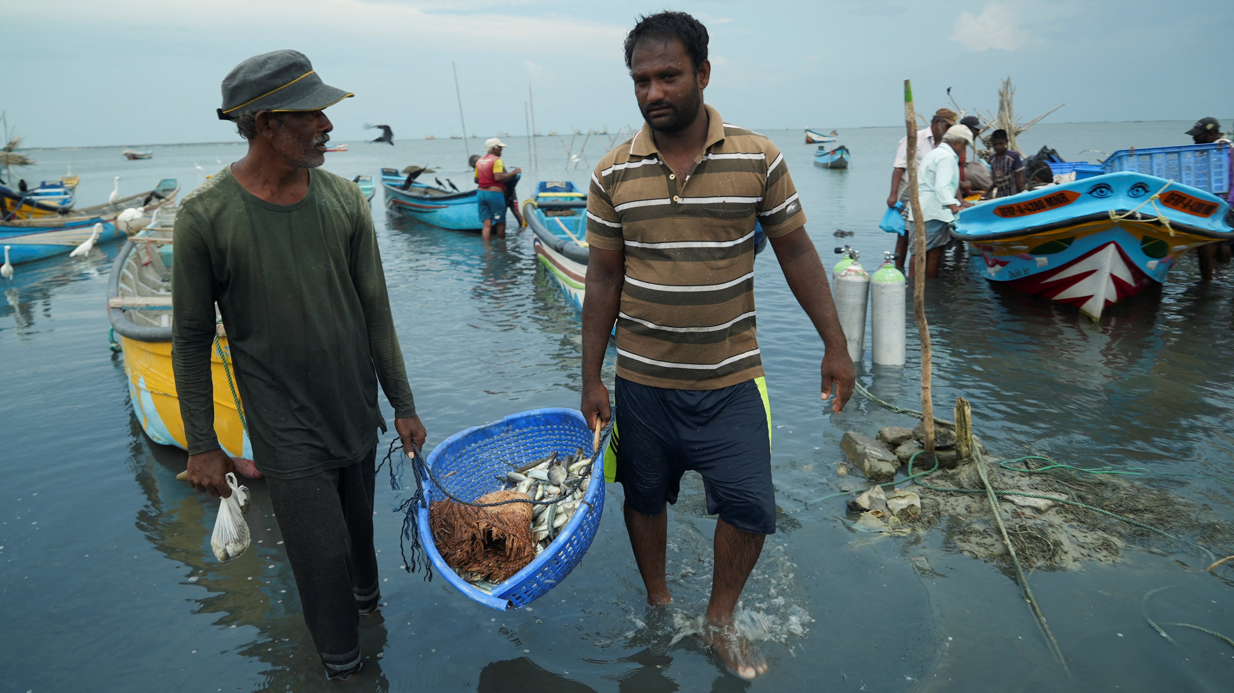 Sri Lankan fishermen haul a bucket of fish to shore. Millions of people are struggling in the country as the economic meltdown continues. Photo: Reuters