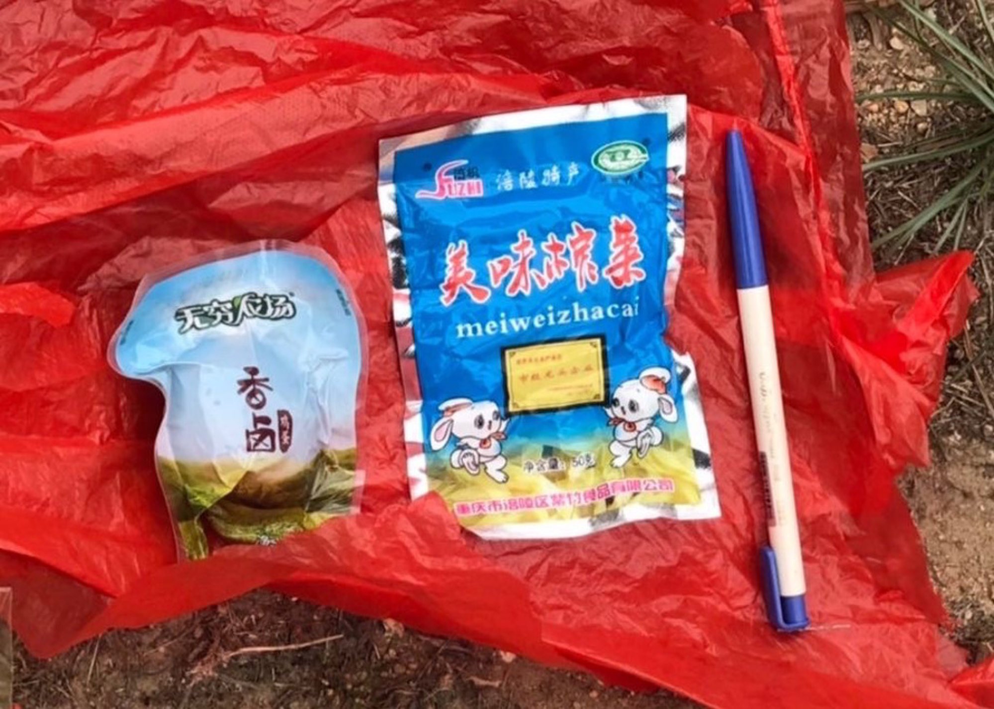 Quanzhou Captain dropped a package of snacks by drone on a small Taiwanese-held island. Photo: Handout