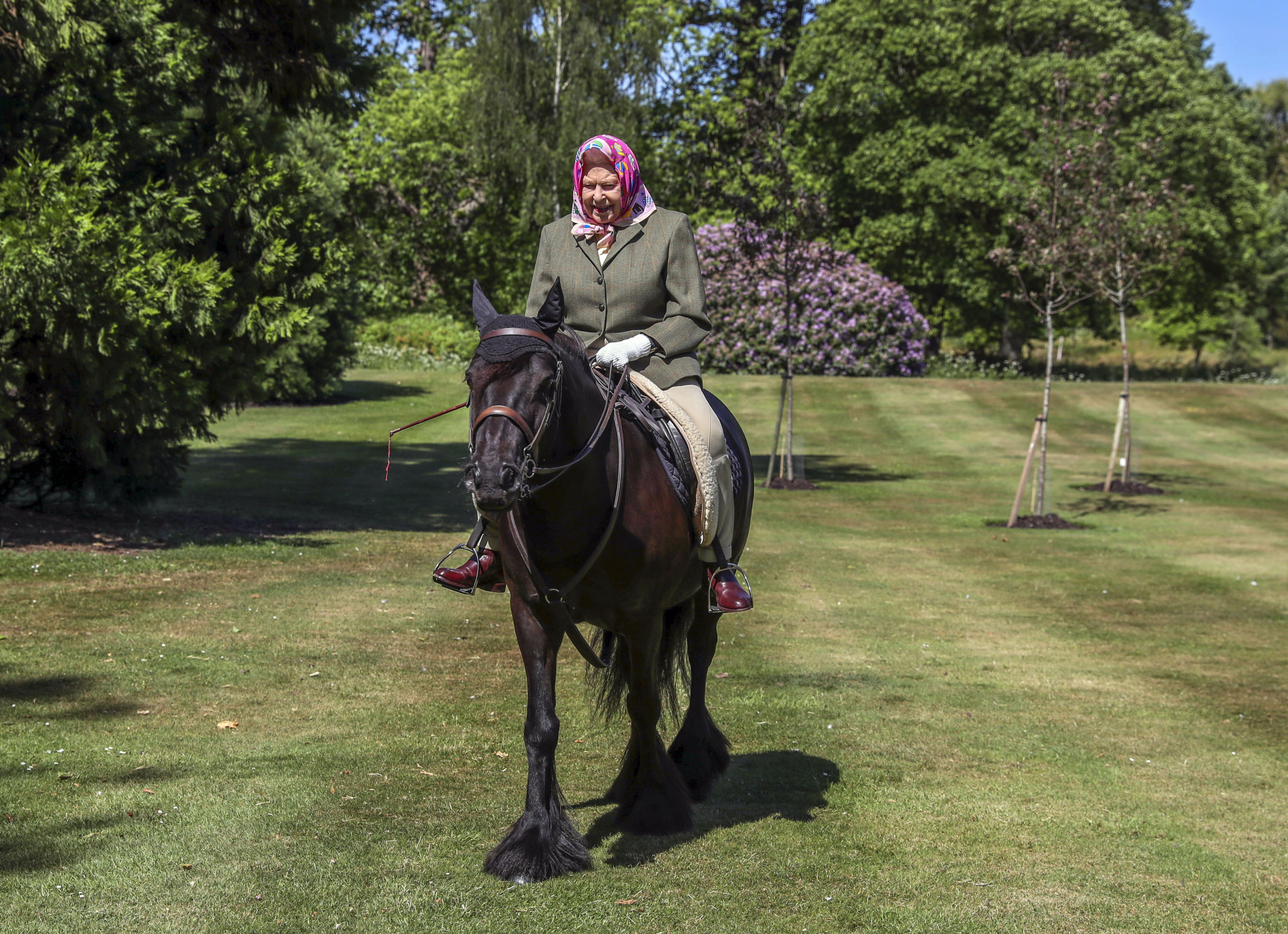Queen Elizabeth rides Balmoral Fern, a 14-year-old Fell Pony, in the royal family’s private Windsor Home Park. Photo: PA/DPA
