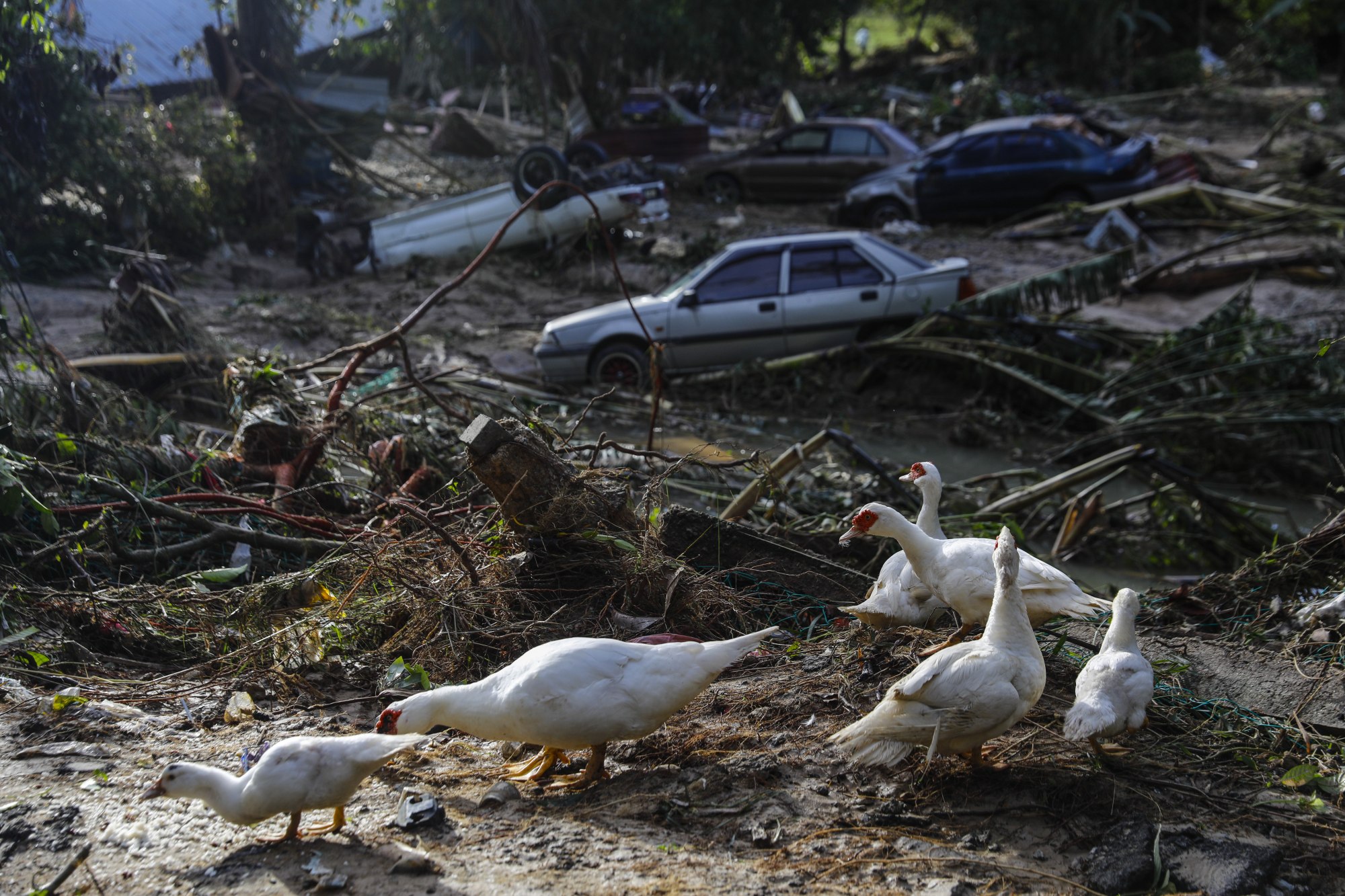 Cars are seen overturned and damaged after a day of flooding in Kuala Langat, 15km from Kuala Lumpur, on December 20, 2021. Photo: EPA-EFE
