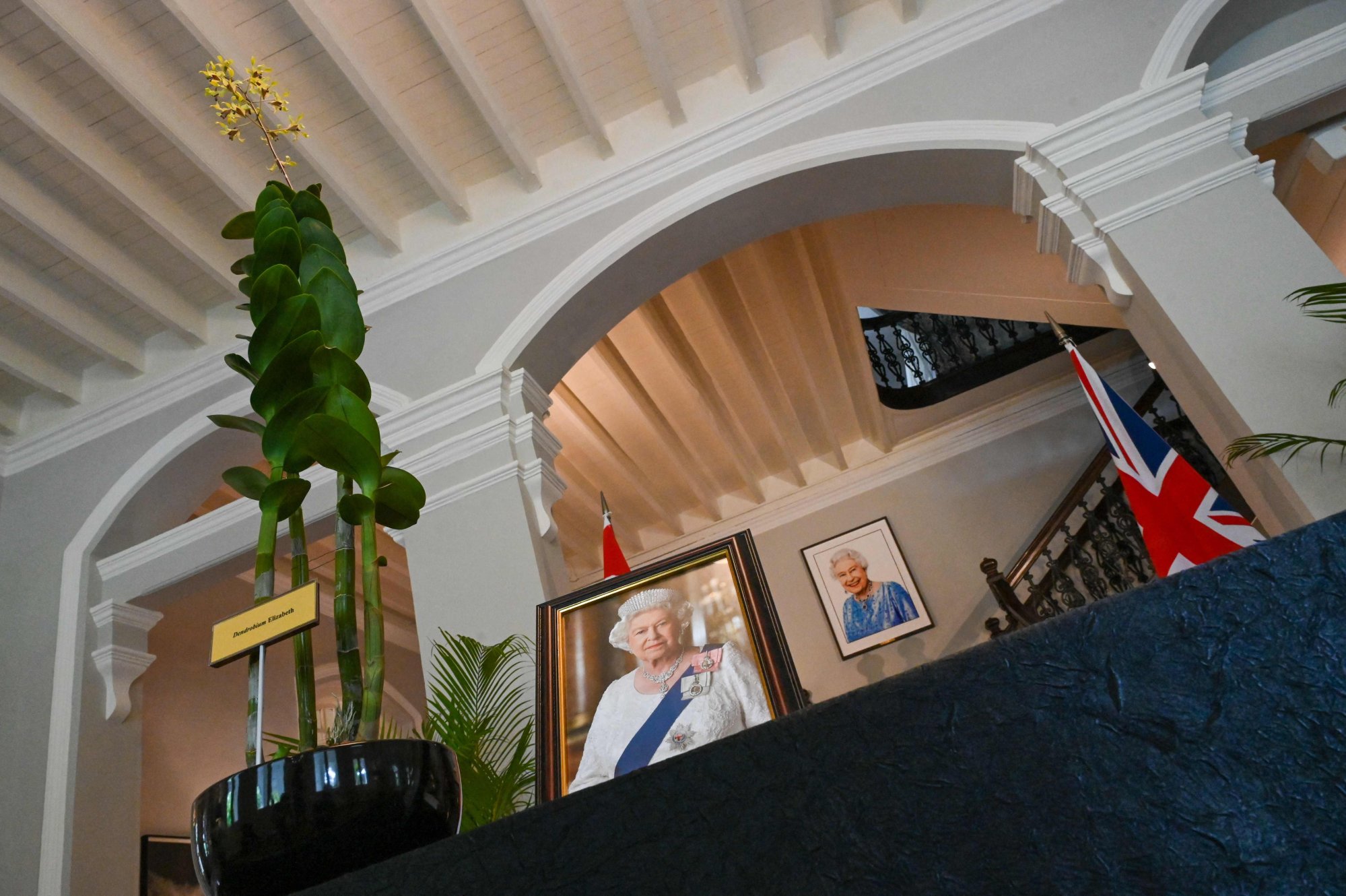 An orchid named after the late Queen Elizabeth during her visit to Singapore in 1972 is temporarily displayed at Eden Hall, the official residence of the British High Commissioner in Singapore on September 10, 2022. Photo: AFP