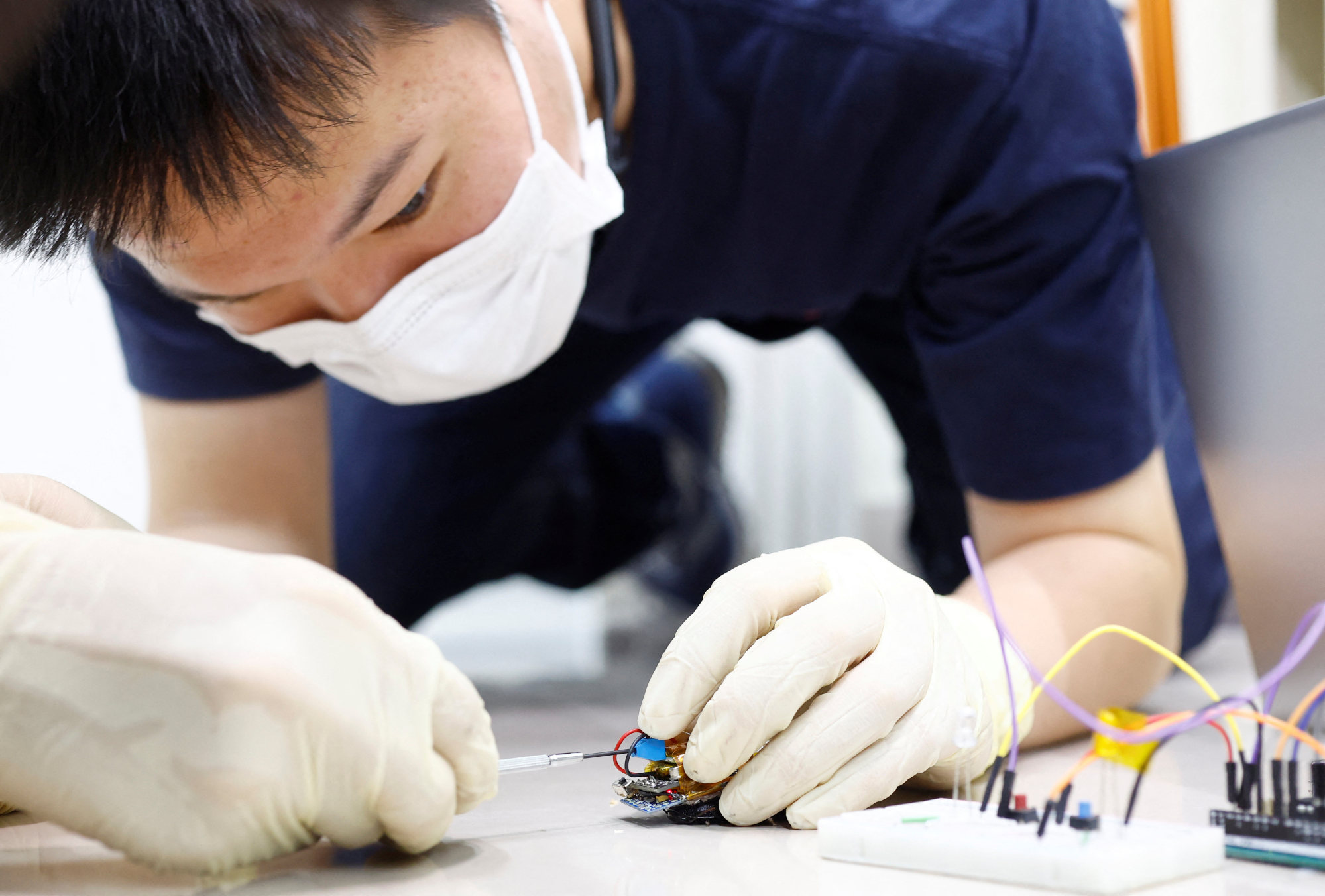 Researcher Yujiro Kakei connects a solar cell to a “backpack” of electronics mounted on a Madagascar hissing cockroach at the Thin-Film Device Laboratory of Japanese research institution Riken in Wako, Saitama Prefecture, Japan on September 16. Photo: Reuters