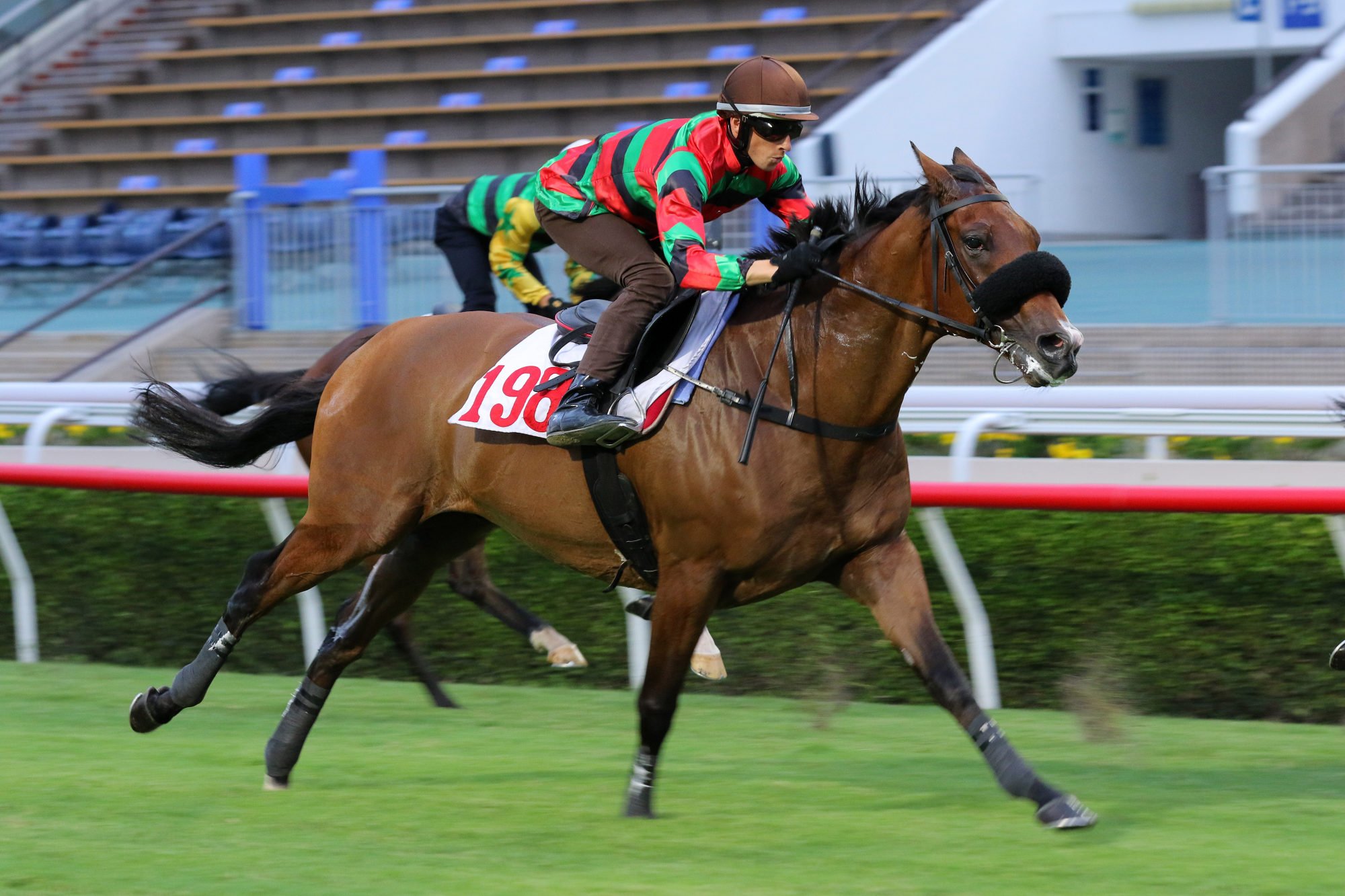 Lyle Hewitson trials Group One winner Russian Emperor for the first time during Tuesday’s heats at Sha Tin.