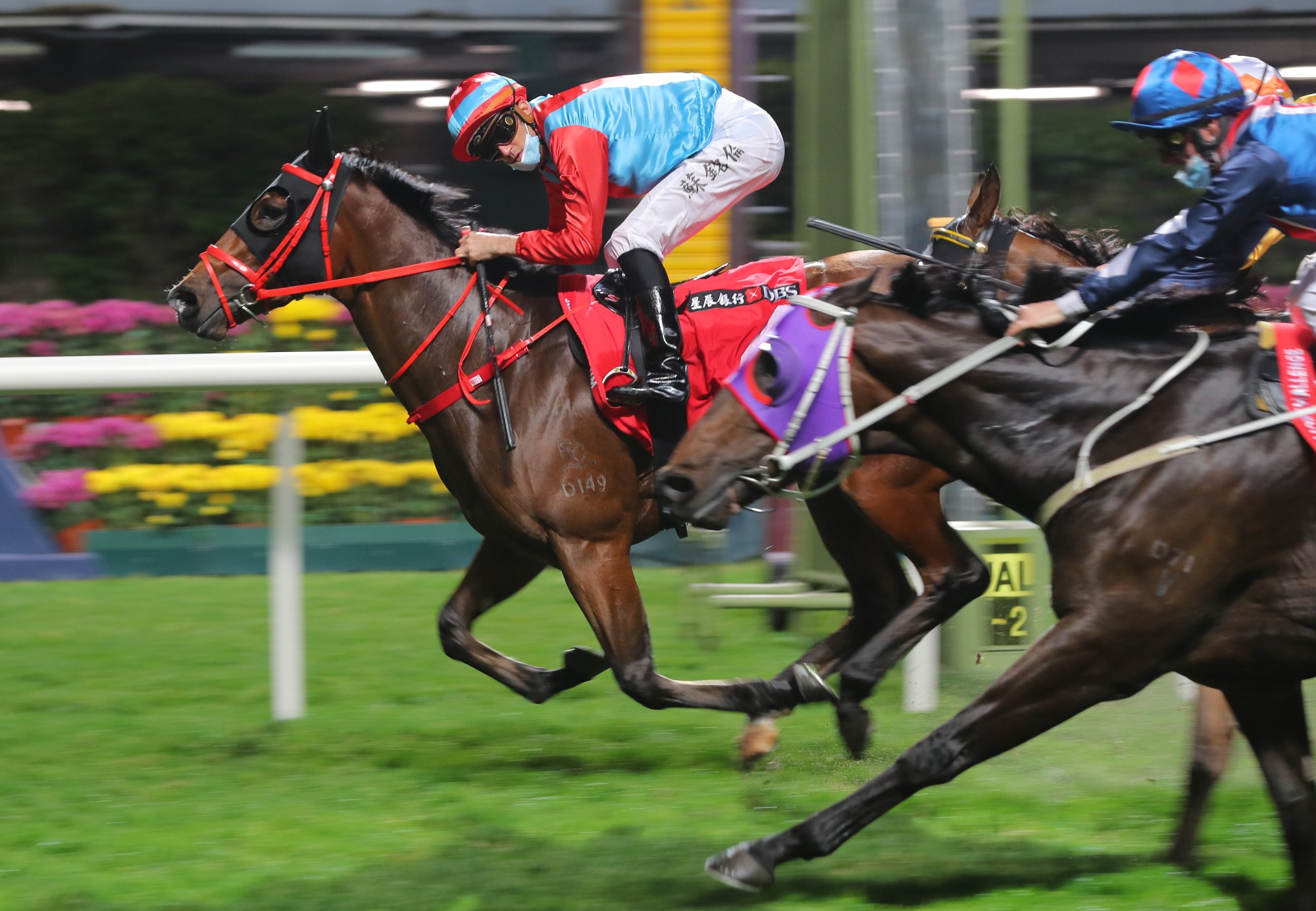 Christophe Soumillon rides a winner at Happy Valley last year.