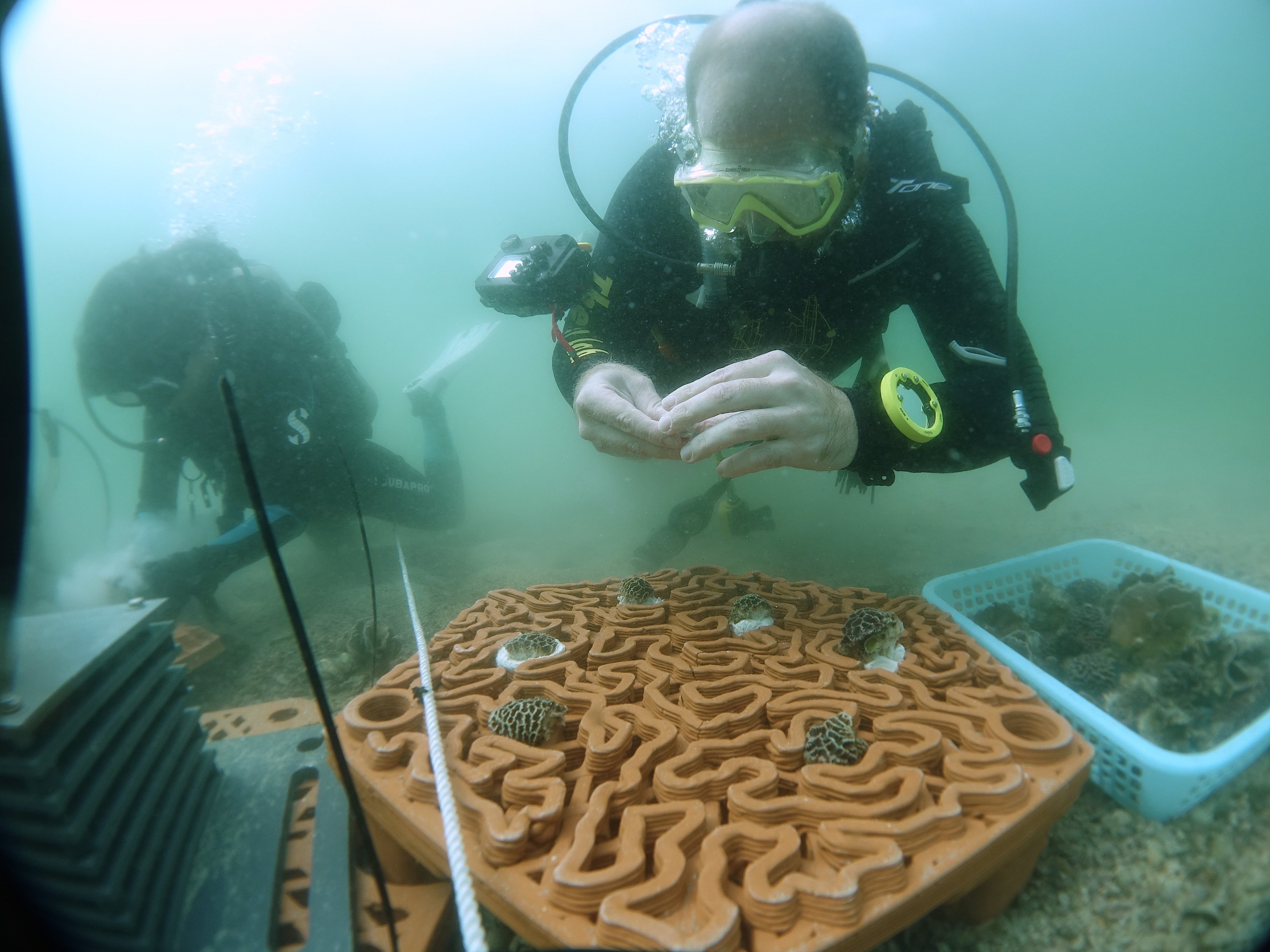 Coral fragments are planted onto archiREEF’s terracotta tiles in Hong Kong’s Hoi Ha Wan Marine Park in this file photo from August 2020. Photo: Handout